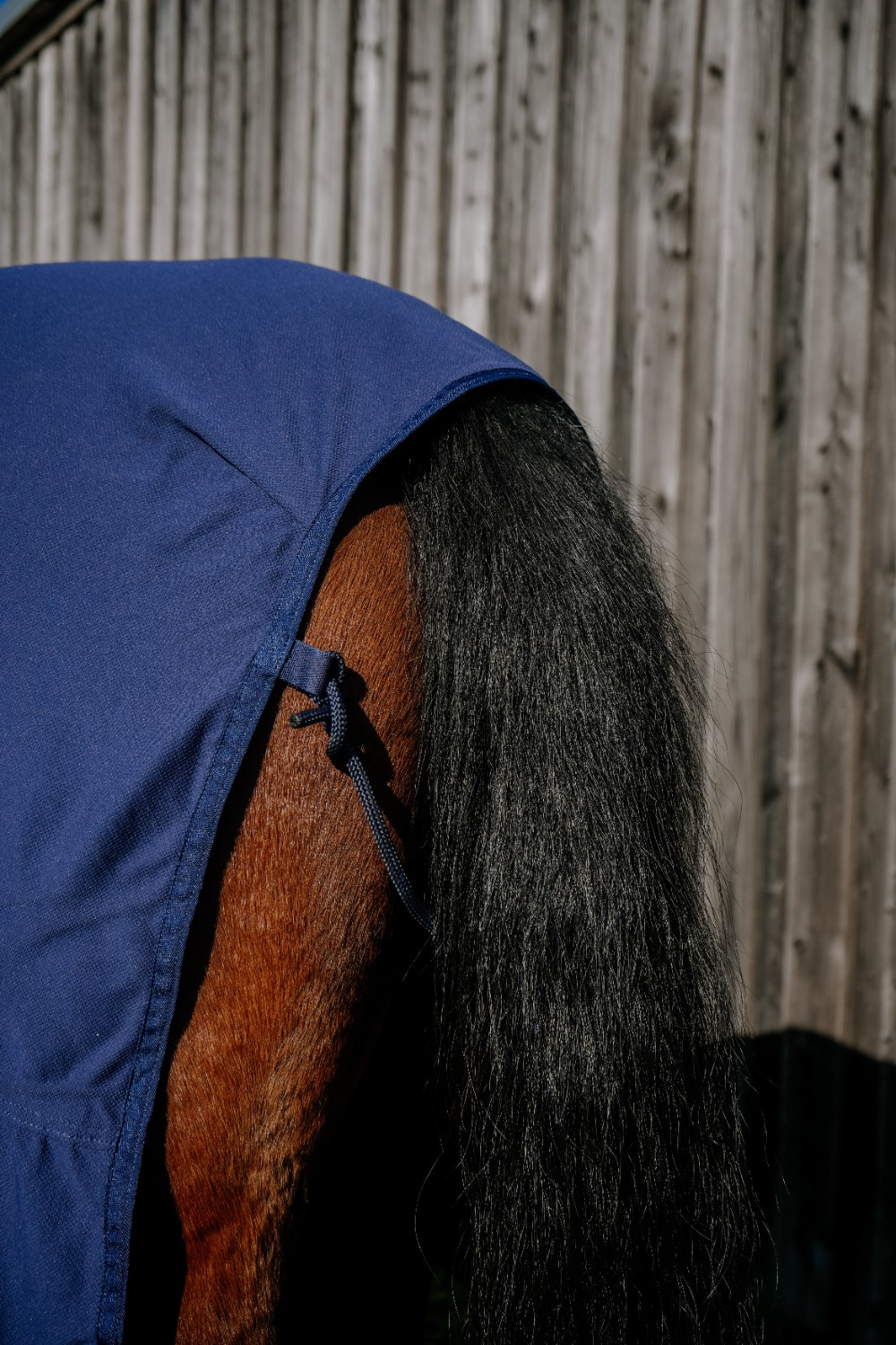 Equithème Deken Cool&Dry