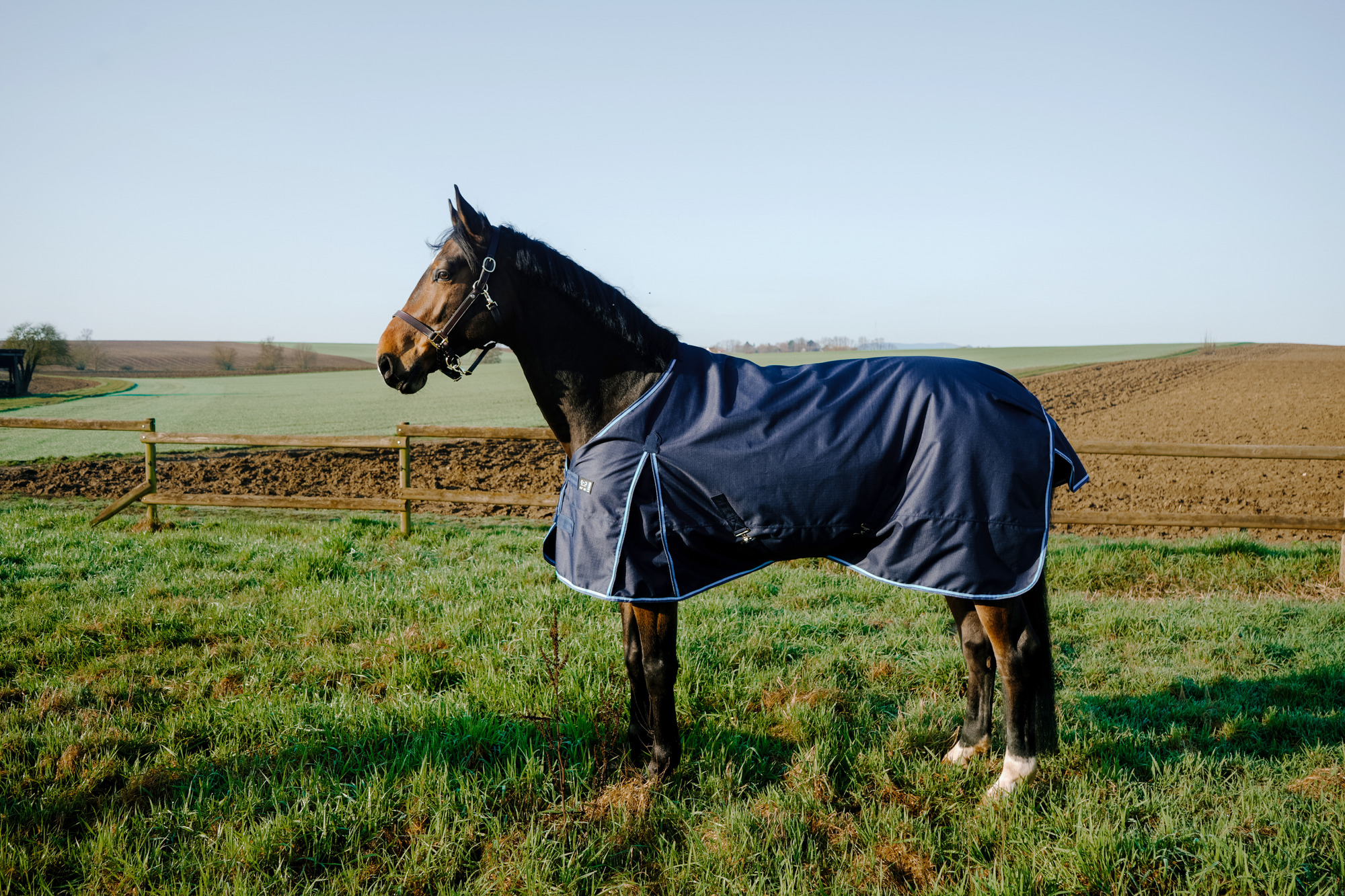 Riding World Outdoordeken First 1200D 