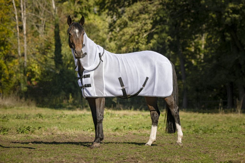 Equithème 3D Mesh deken