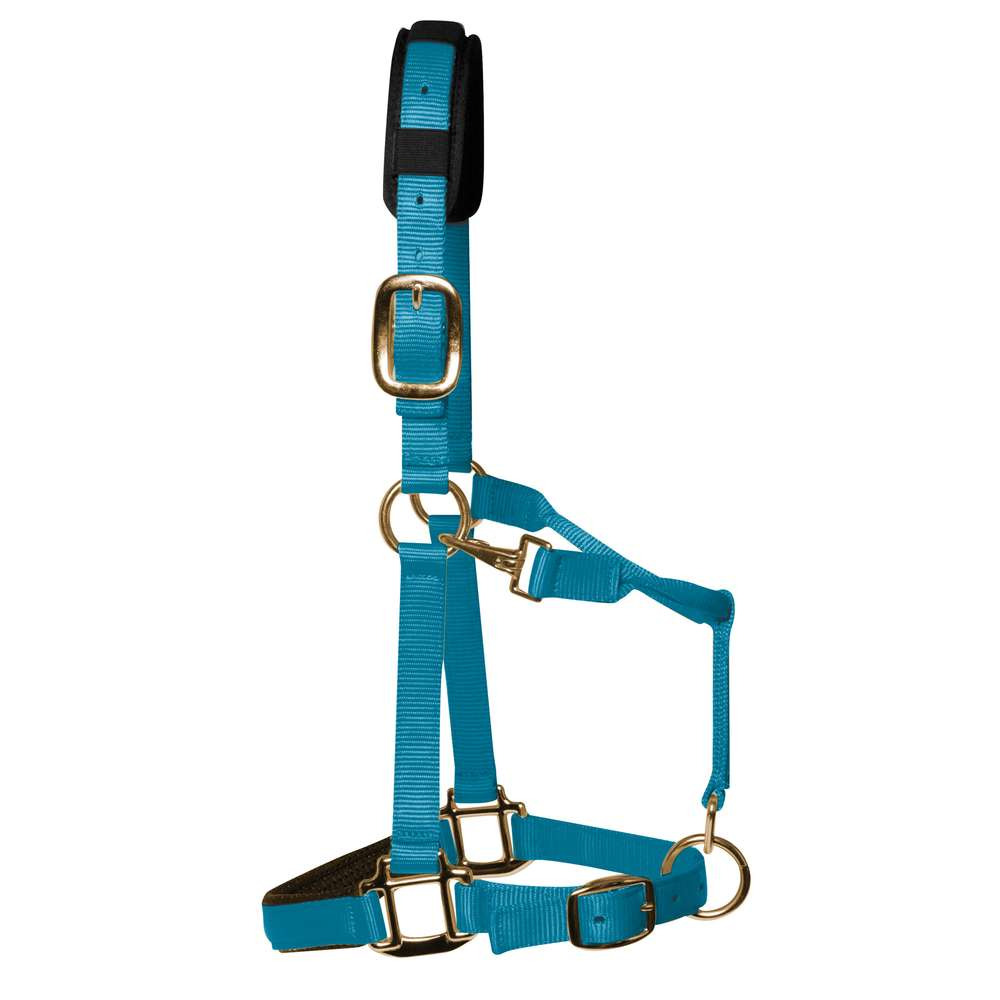 KM Elite Luxe Gevoerd Halster