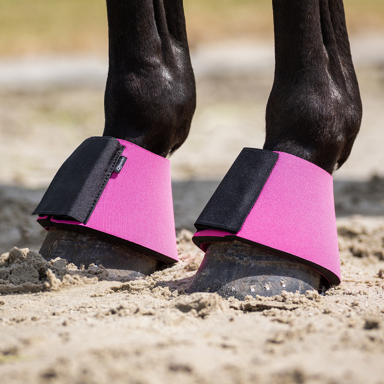 Q-essentials Neoprene Bell Boots