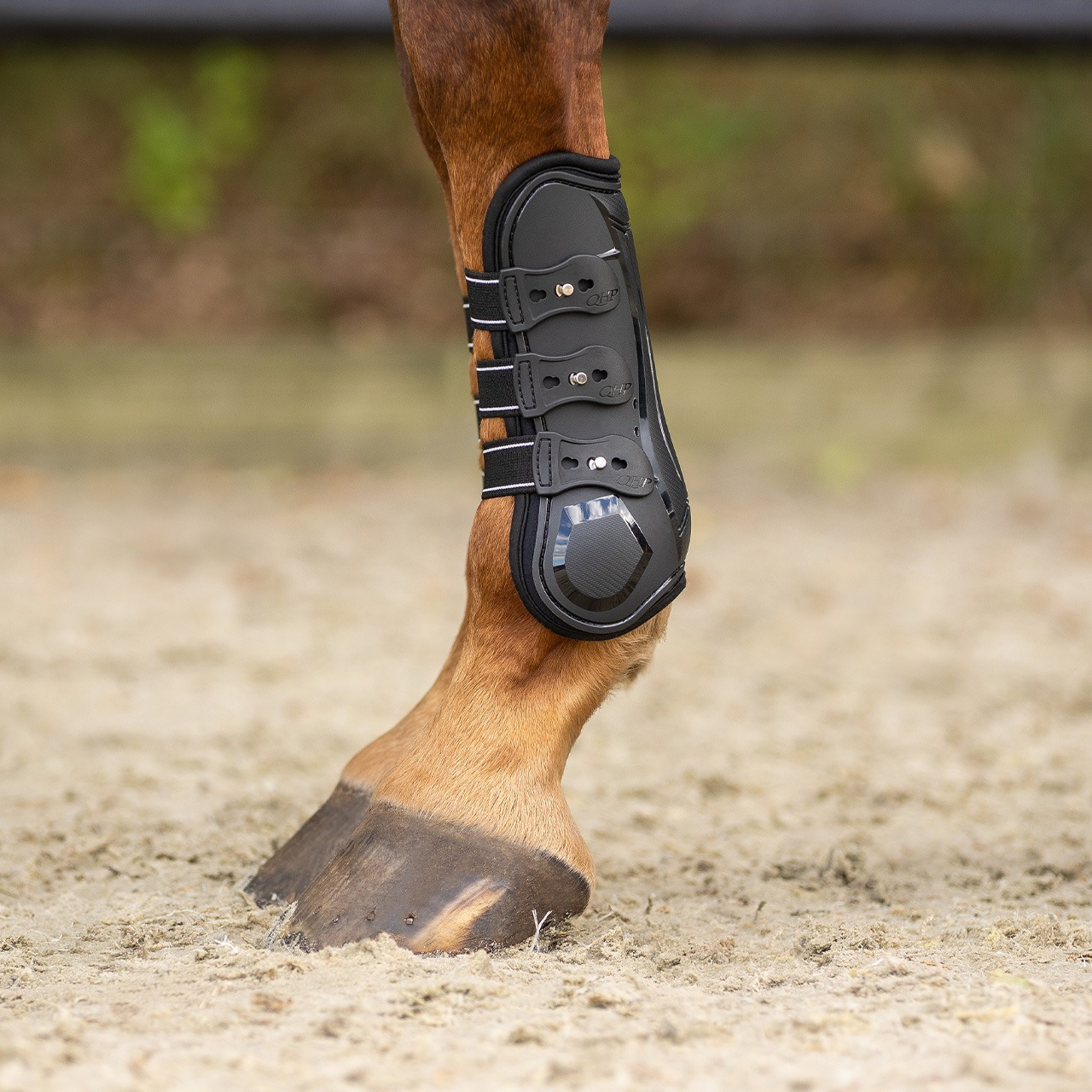QHP Champion Tendon Boots