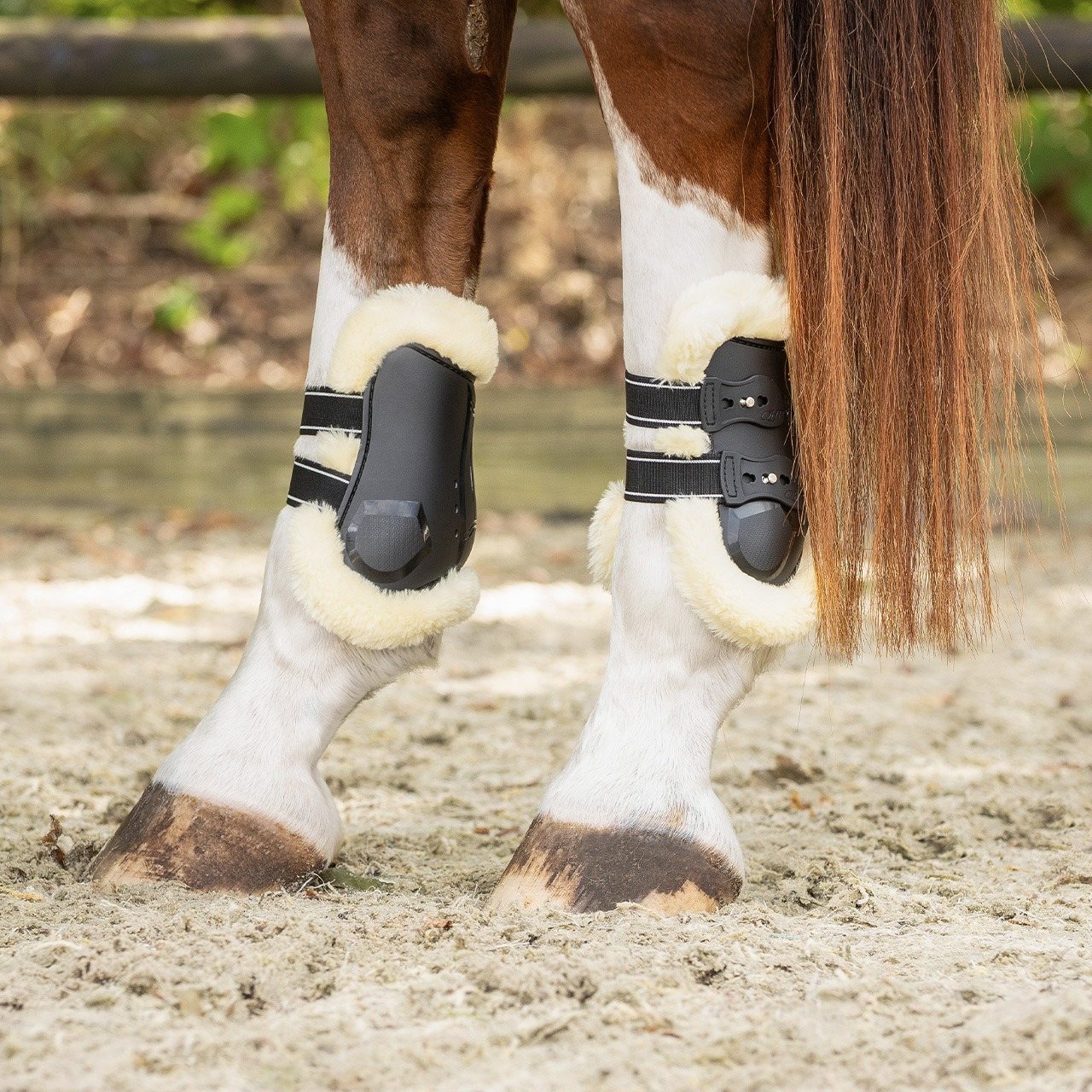 QHP Ontario Brushing Boots