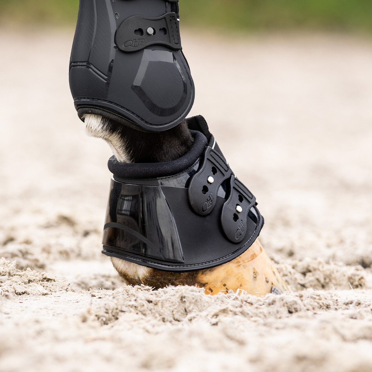 QHP Bell boots Champion