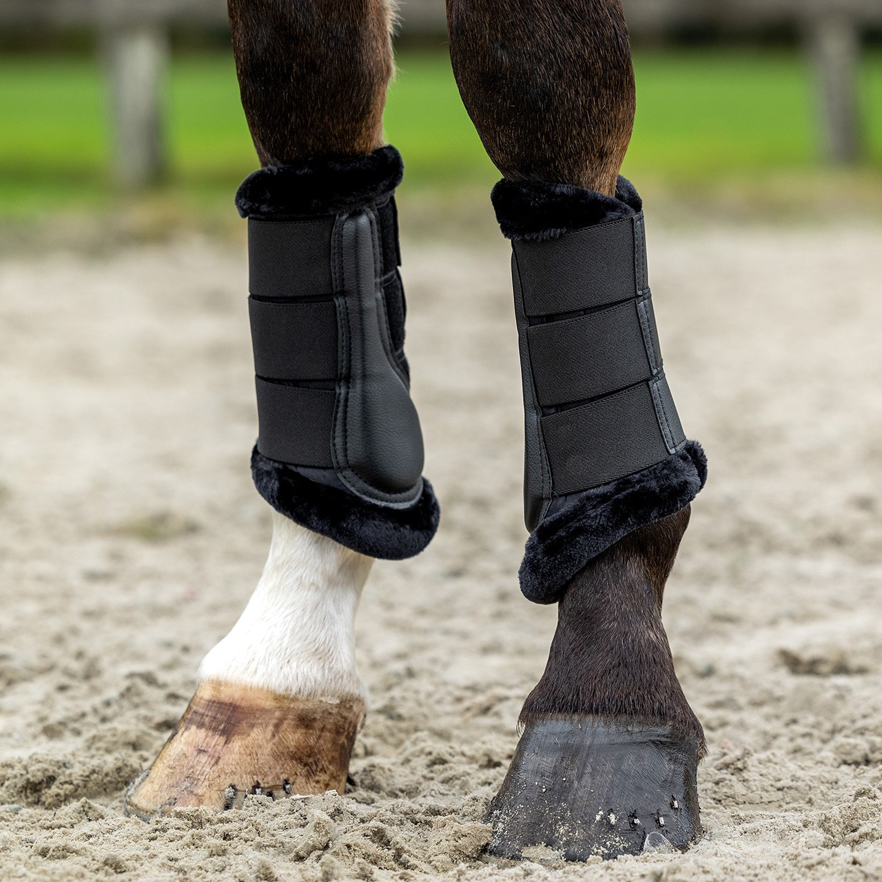 QHP FW26 Leg Protectors Livora