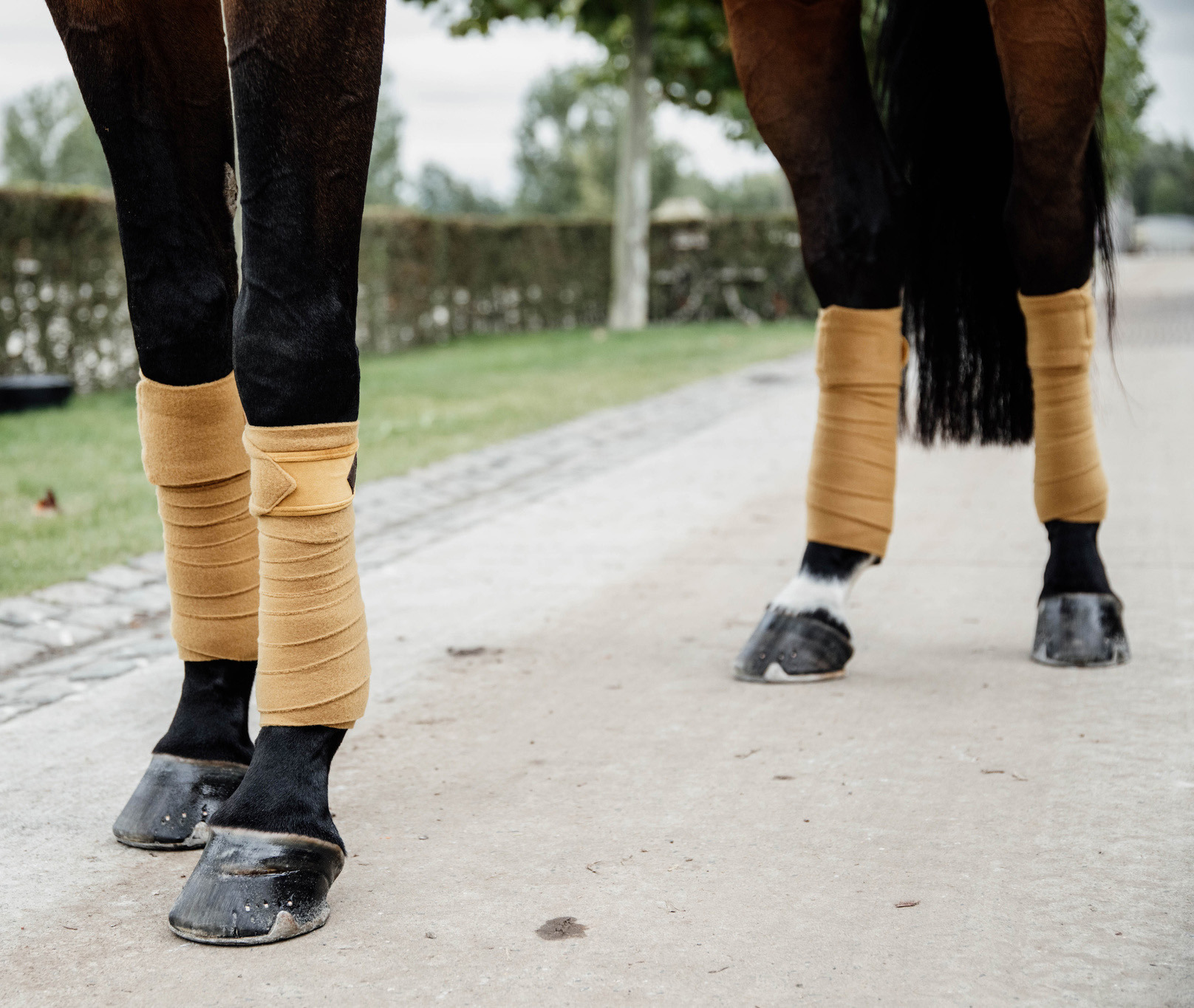 Kentucky Polar Fleece Velvet Bandages