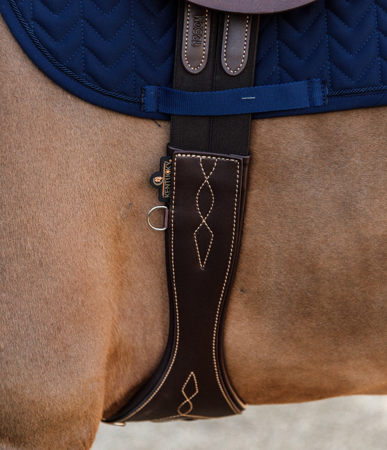 Kentucky Anatomic Girth