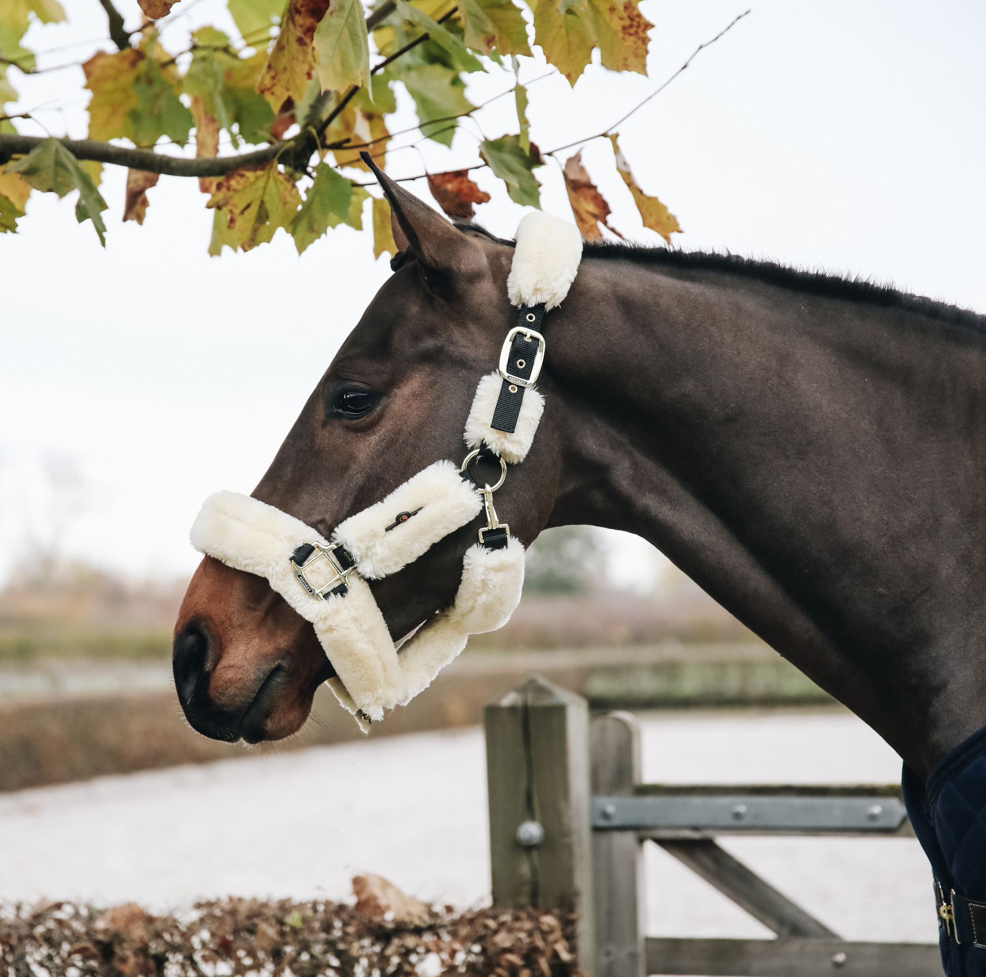 Kentucky Sheepskin Shipping Halter 