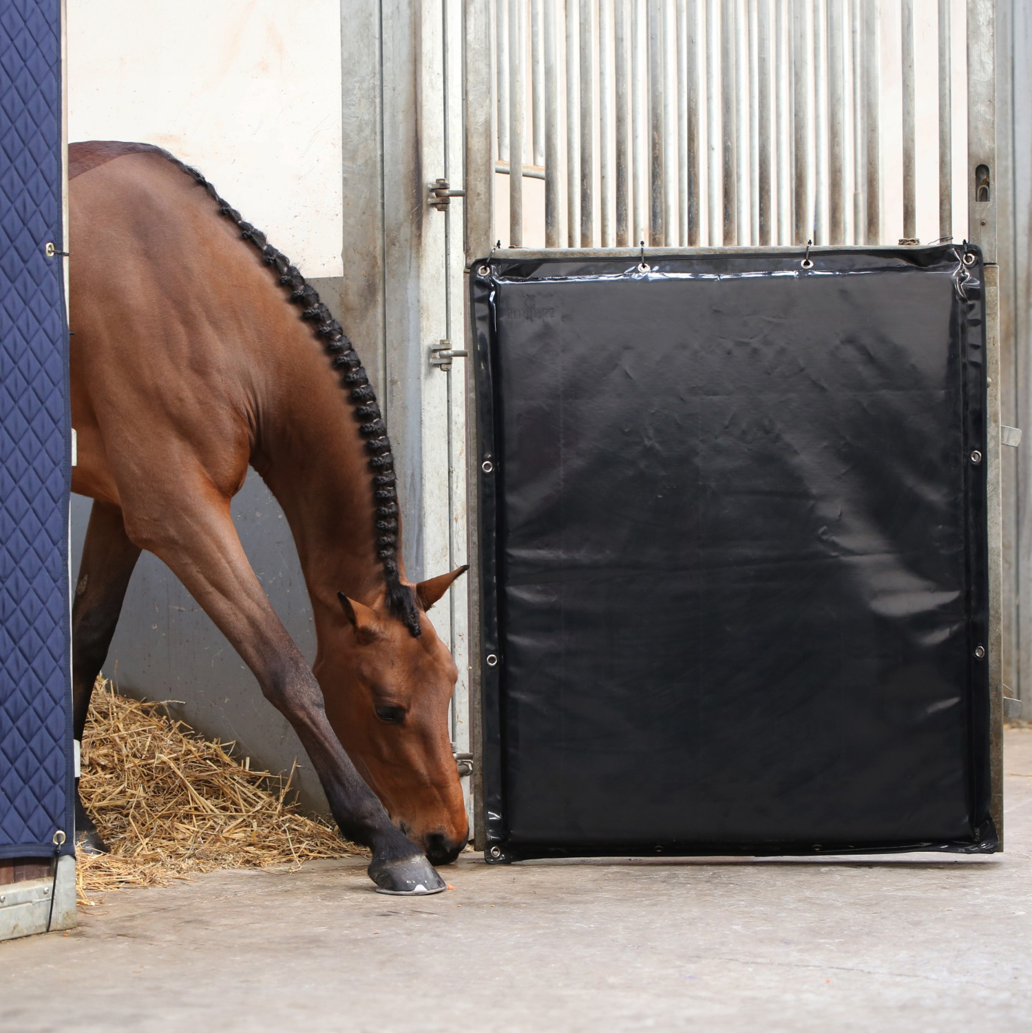 Kentucky Kick Pad 100 x 120 cm