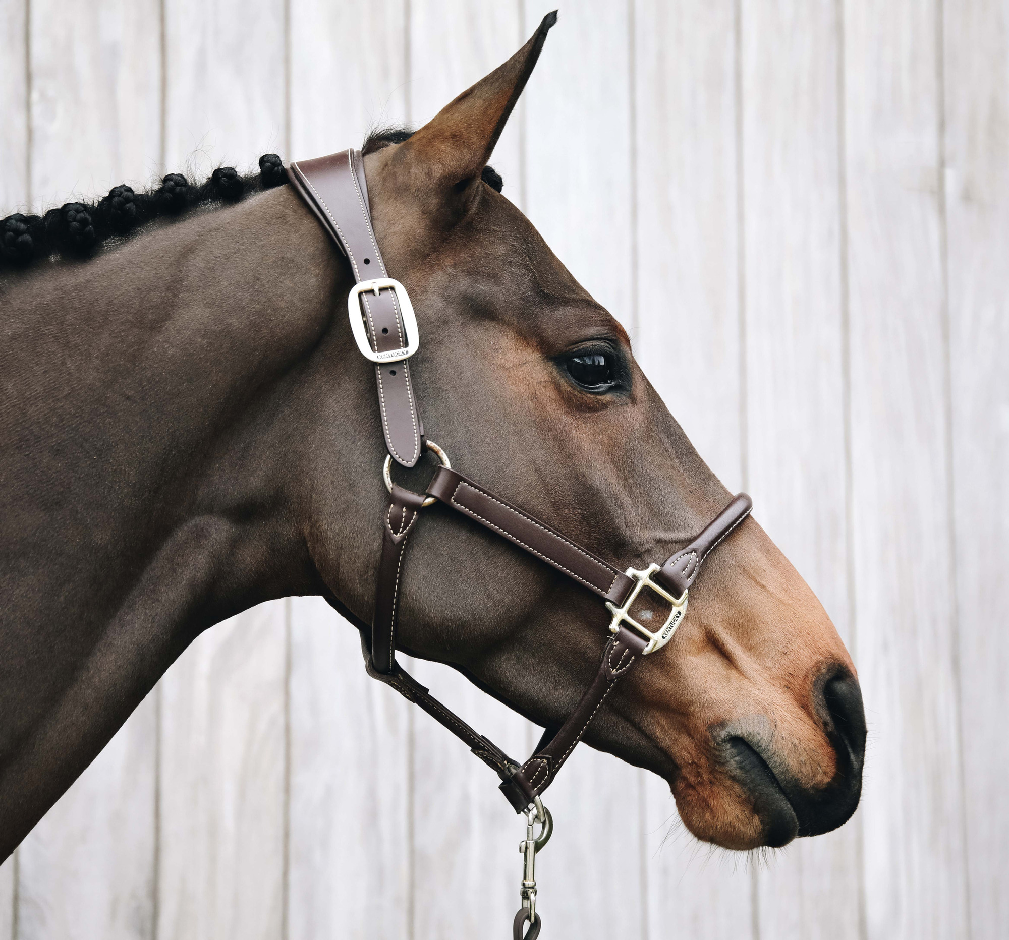 Kentucky Anatomic Halter