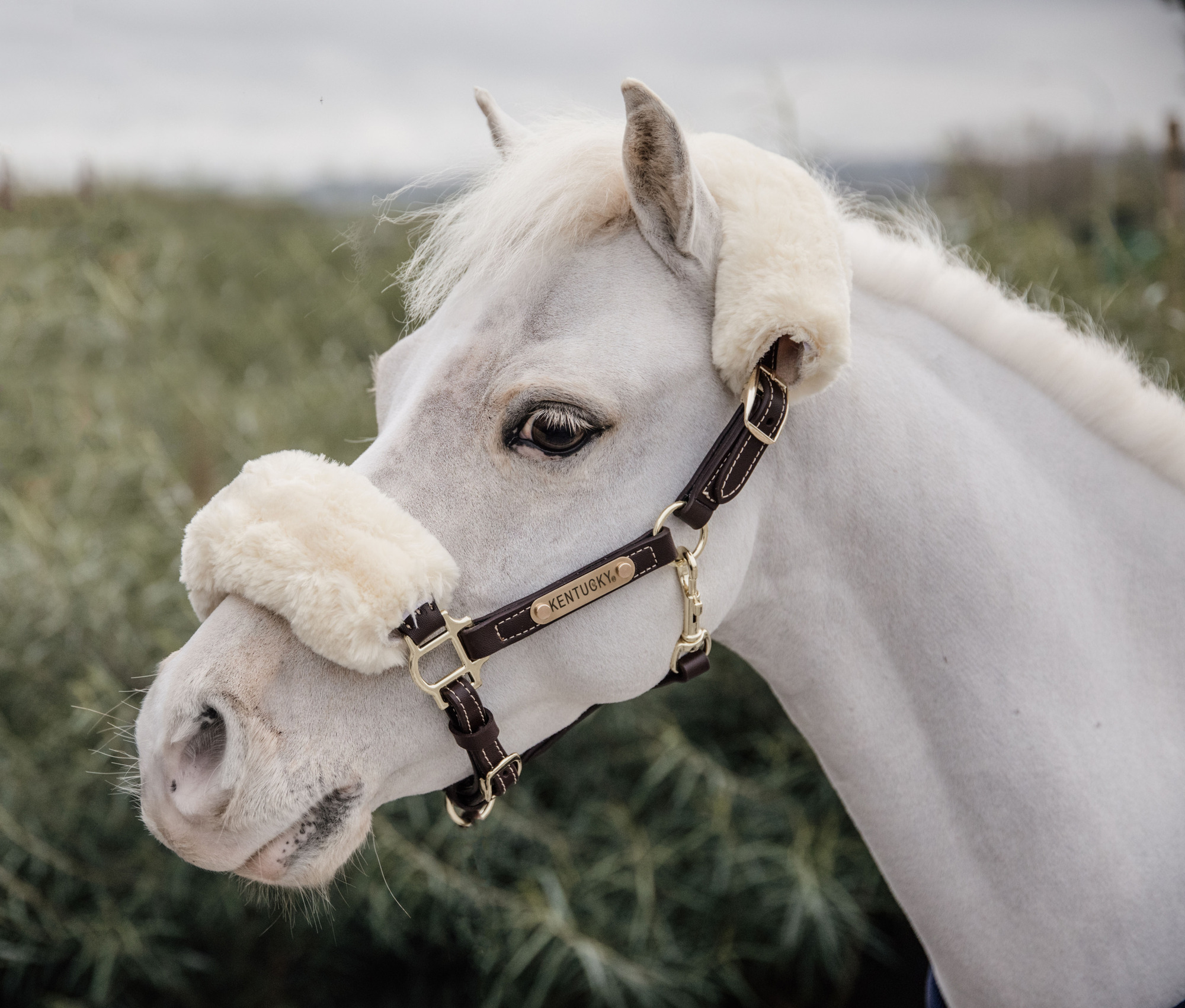 Kentucky Leather Halter Sheepskin