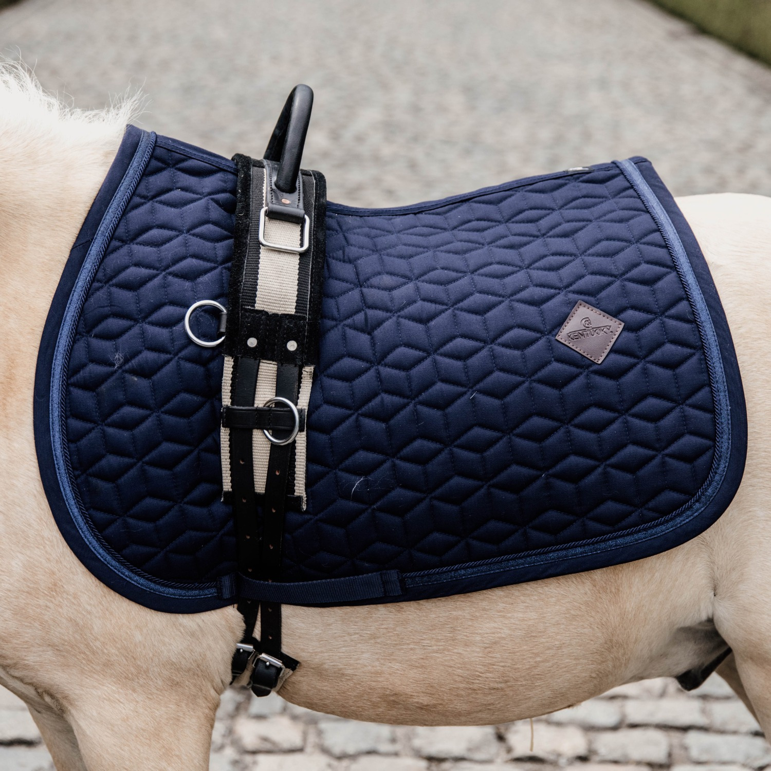 Kentucky Glitter Band Pony Schabracke
