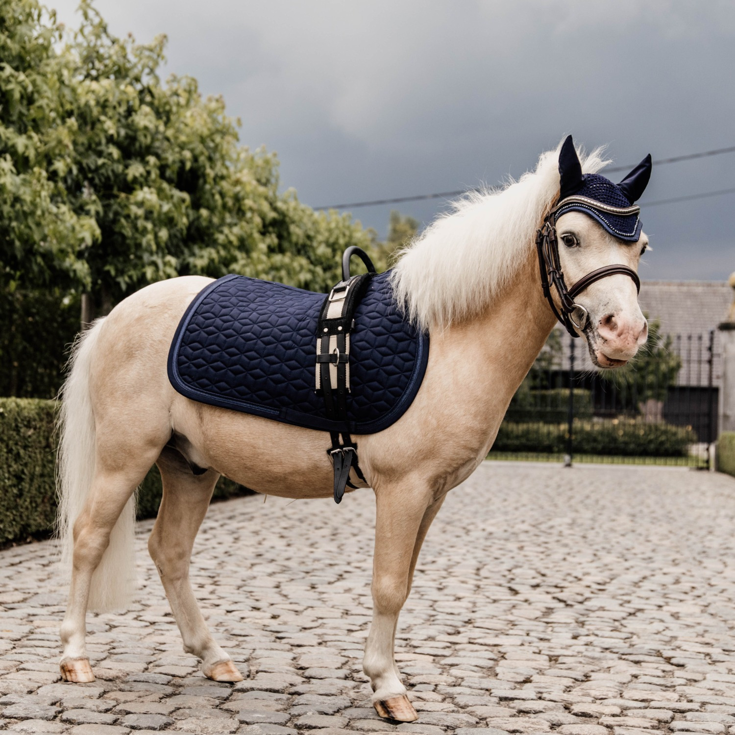 Kentucky Glitter Band Pony Schabracke