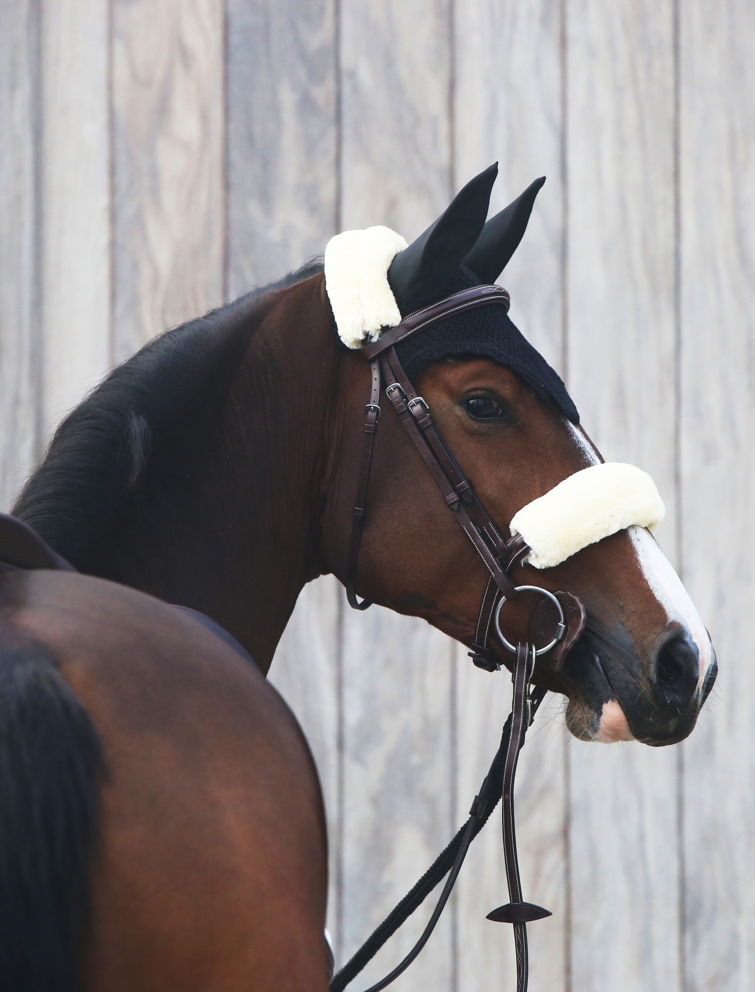 Kentucky Artificial Sheepskin Noseband Cover