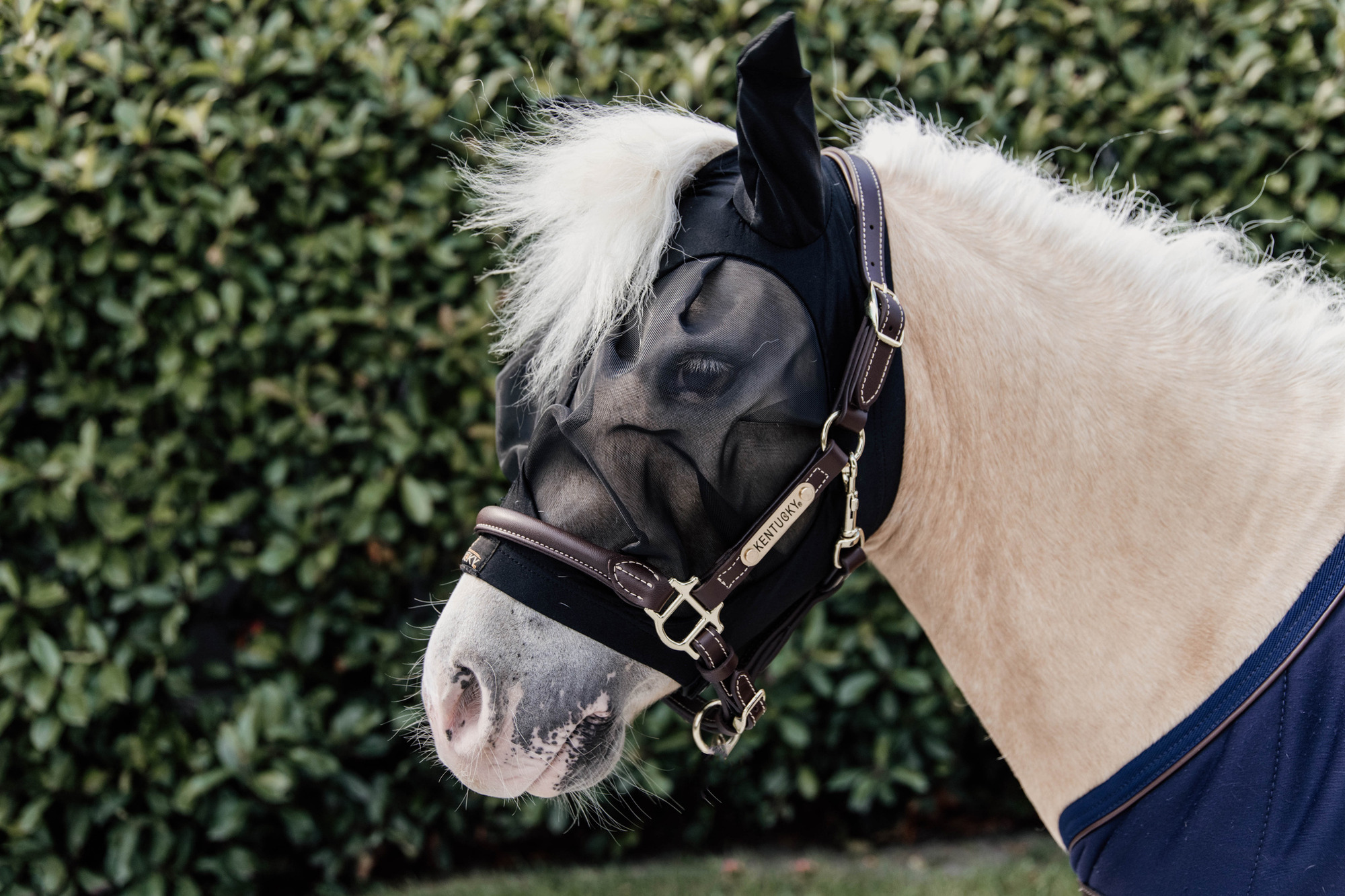 Kentucky Fly Mask Slim Fit Tiny