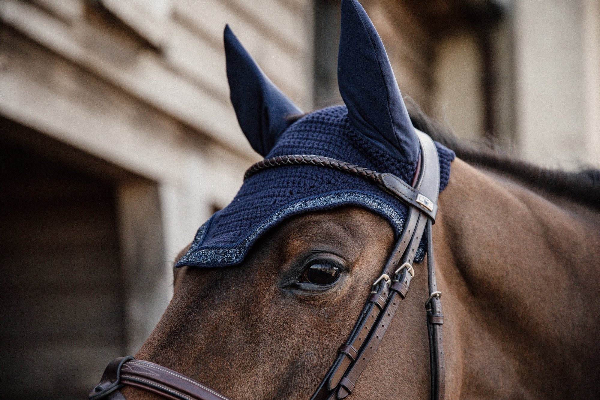 Kentucky Fliegenhaube Wellington Glitter Stone