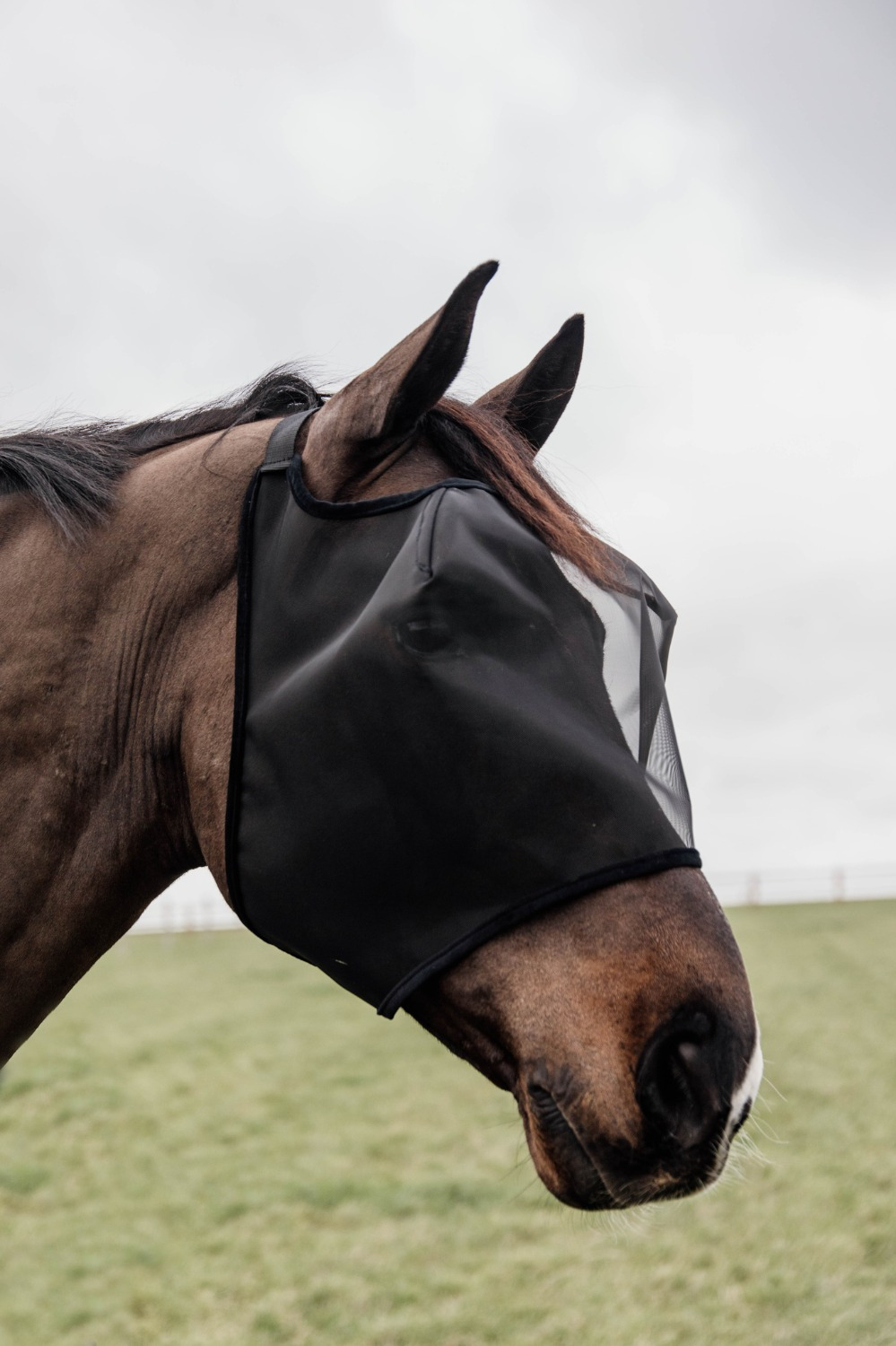 Kentucky Fly Mask Classic Without Ears