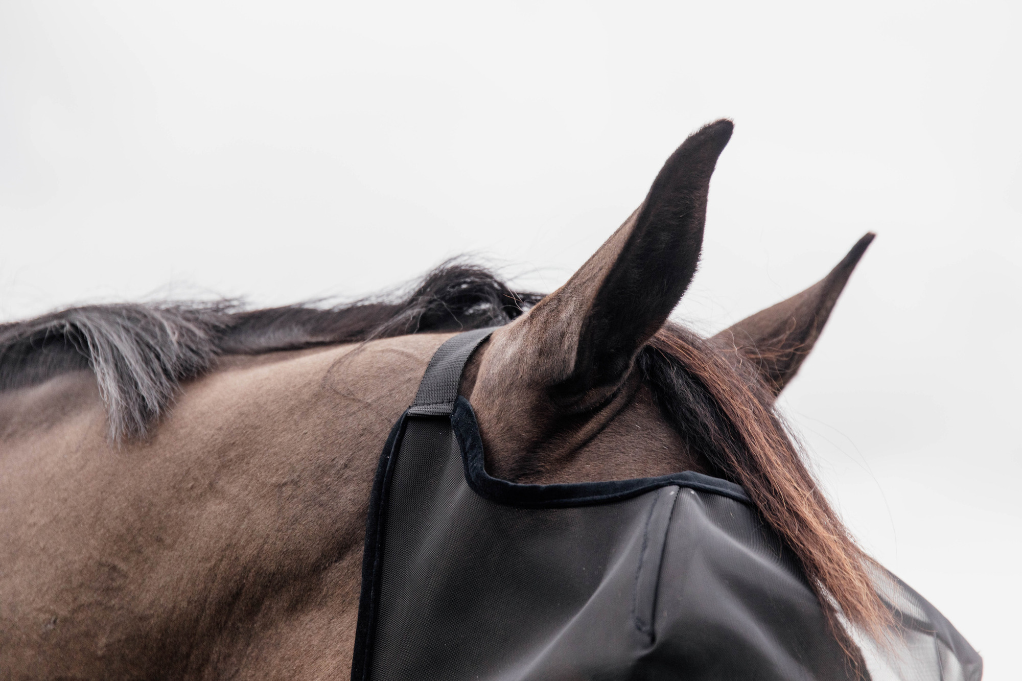 Kentucky Fly Mask Classic Without Ears