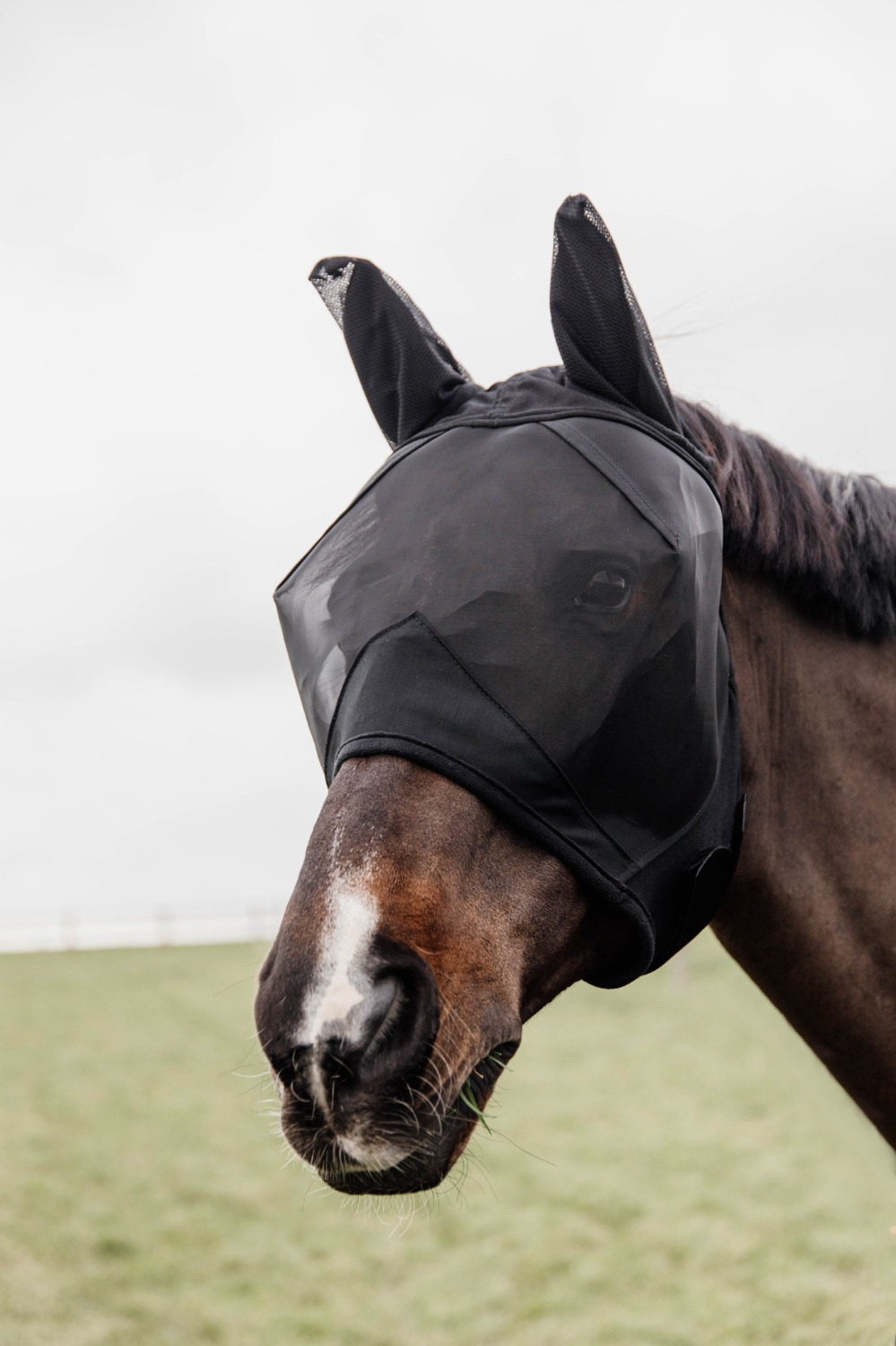 Kentucky Fly Mask Classic with Ears