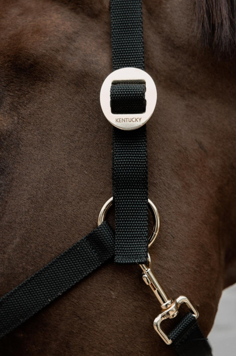 Kentucky Nylon Halter