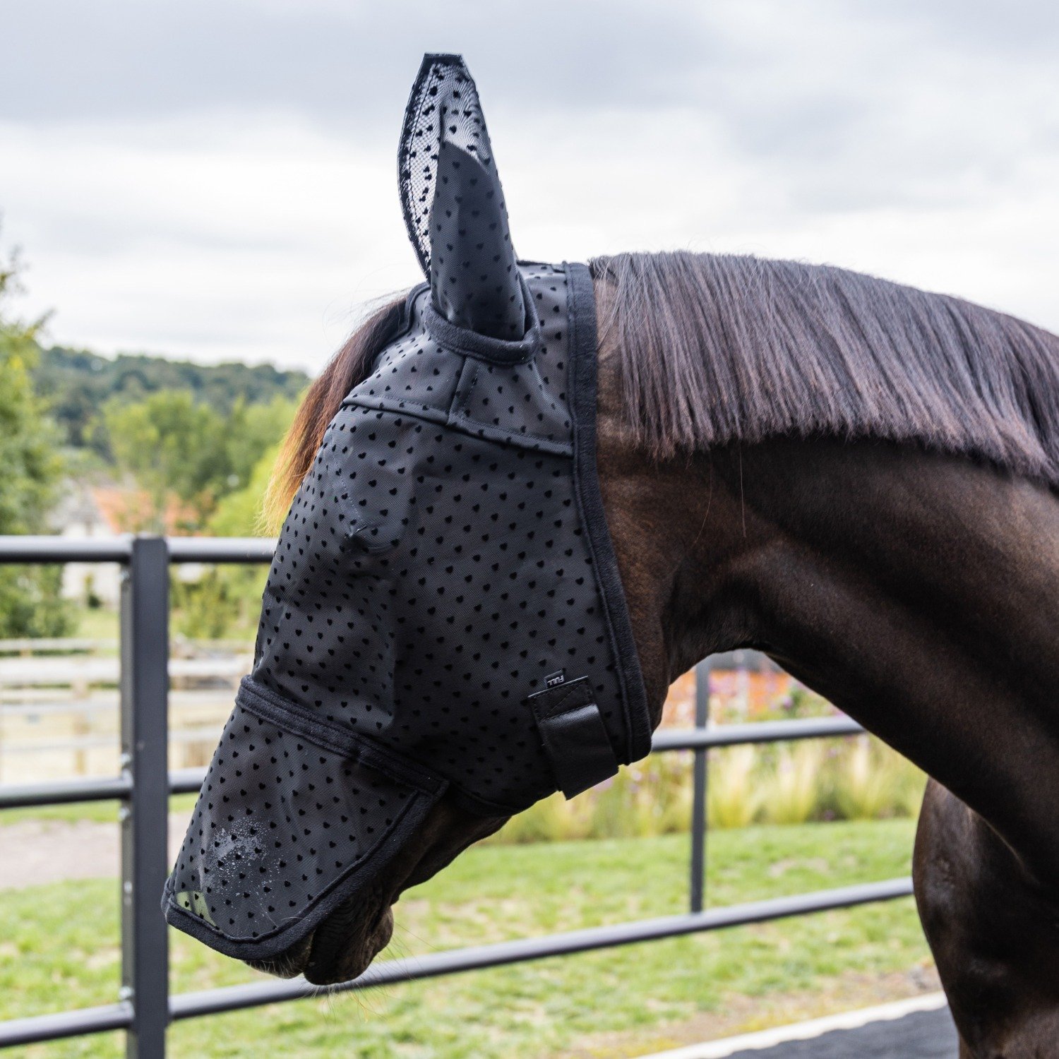Kentucky Fly Mask Heart with Ears and Nose