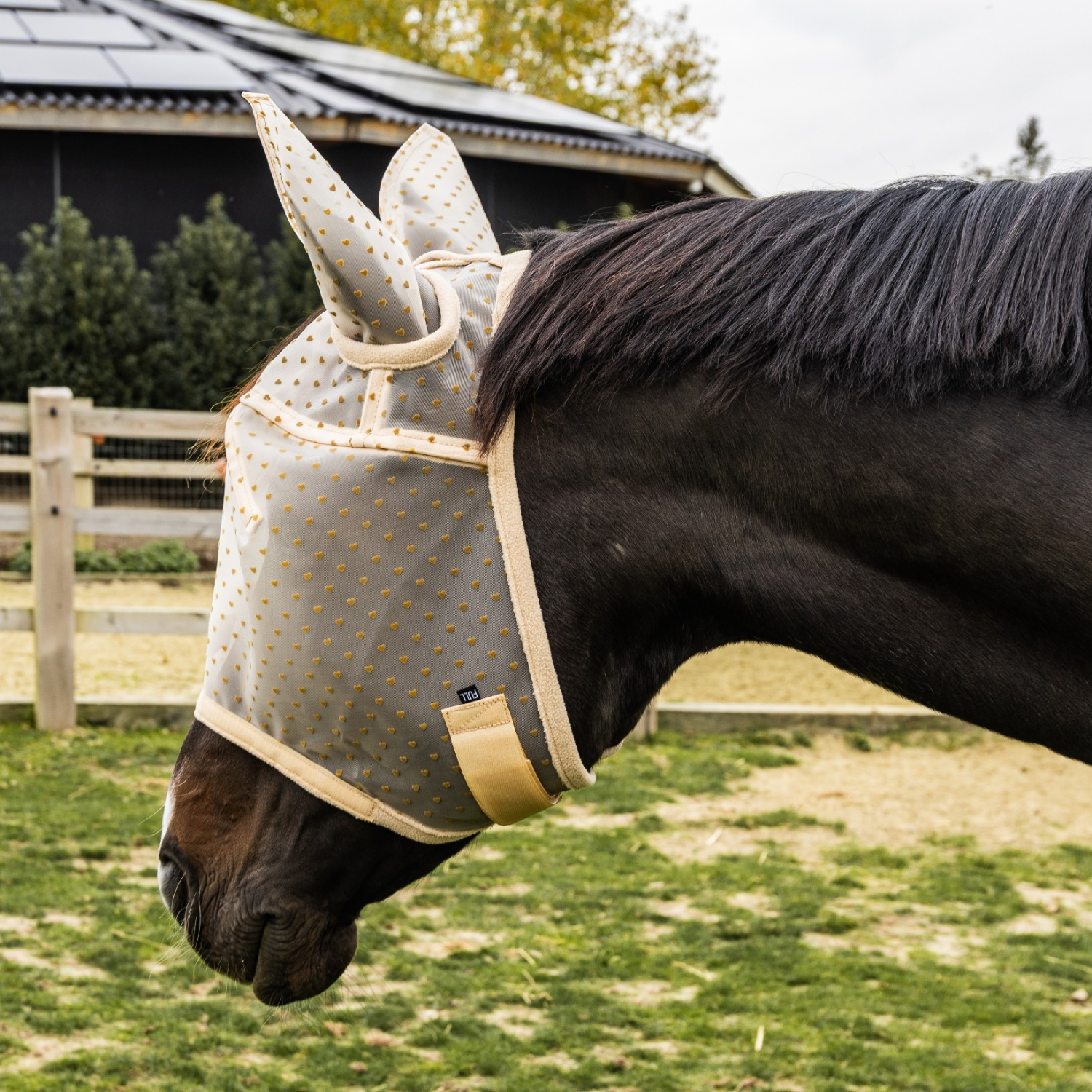 Kentucky Fly Mask Heart with Ears and Nose