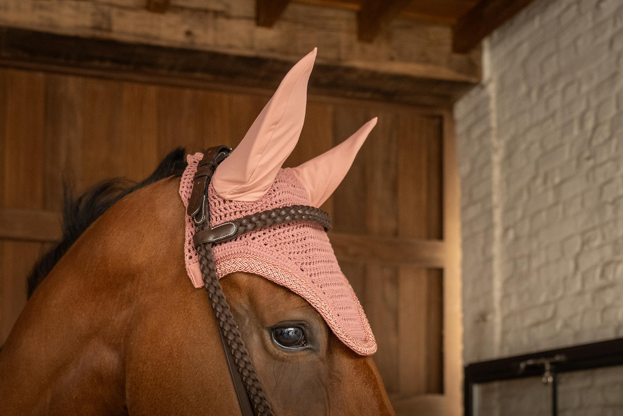 Kentucky Oornetje Wellington Plaited Glitter Rope Soundless