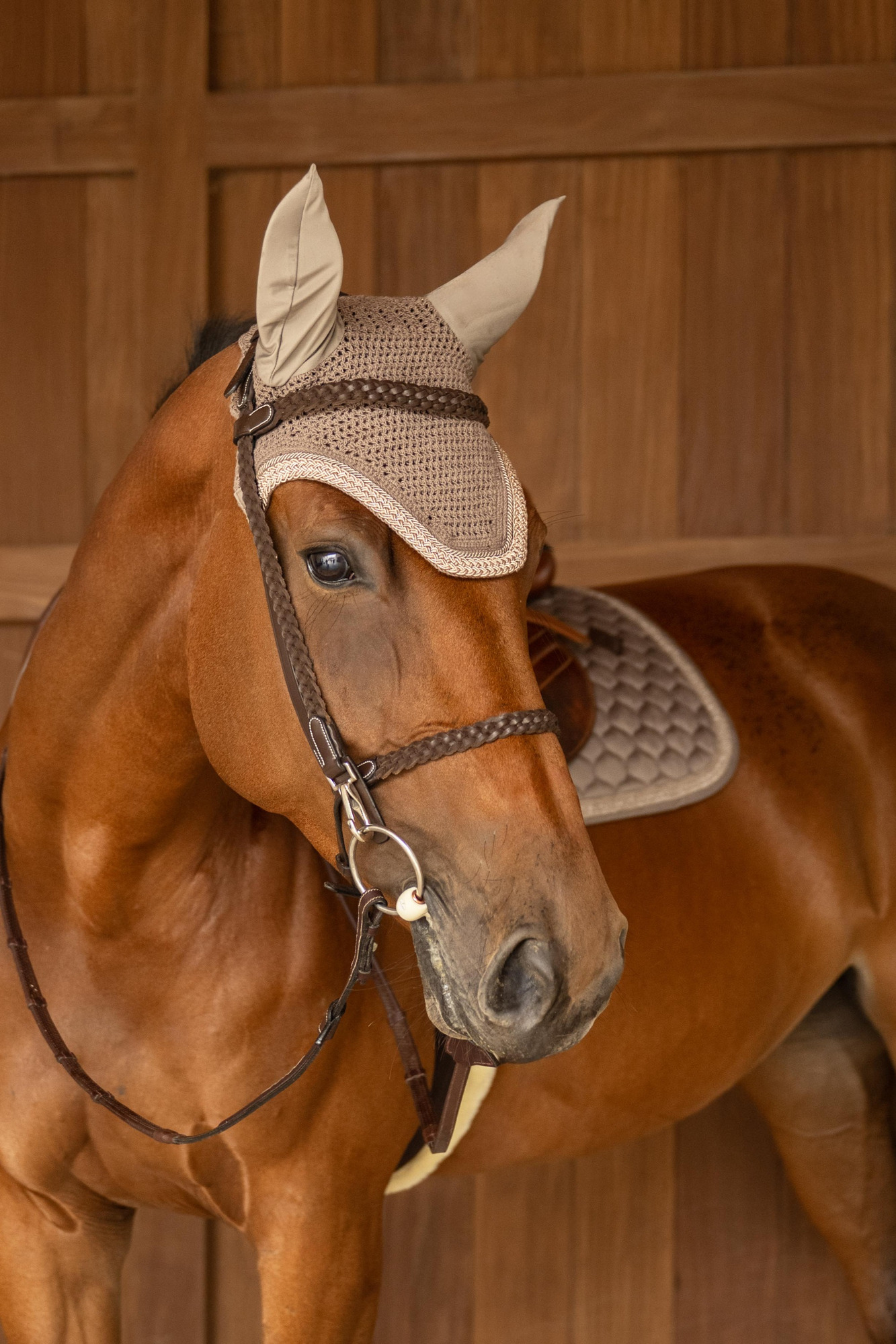 Kentucky Fliegenhaube Wellington Geflochtene Glitzerkordel