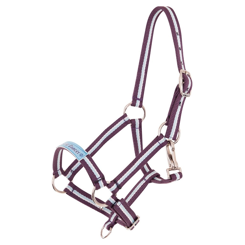 Premiere Foal Halter Fun