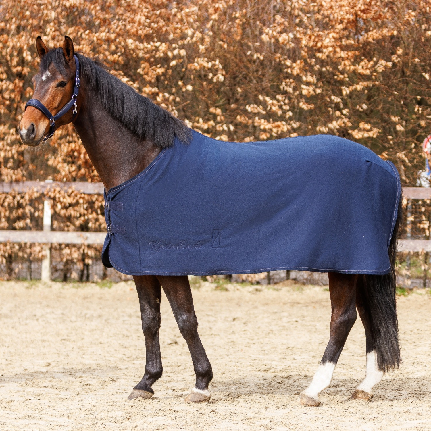 Kavalkade Jersey Fleecedeken Graceful
