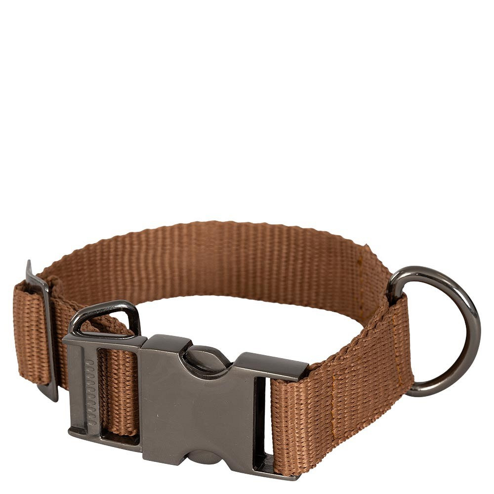 BR FW'24 Dog Collar