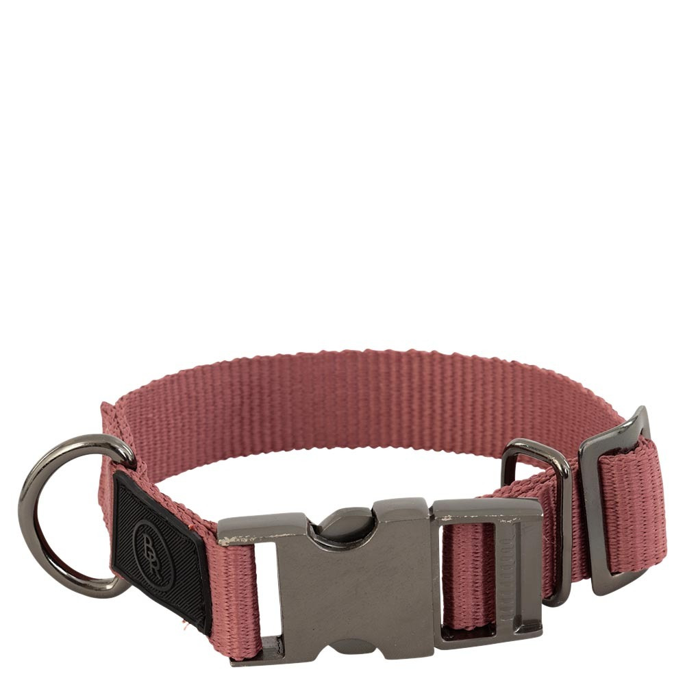 BR SS25 Dog Collar