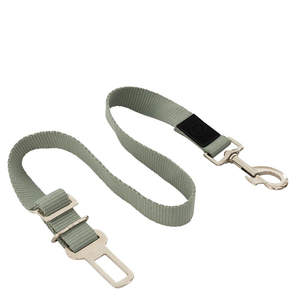 BR SS25 Hondengordel