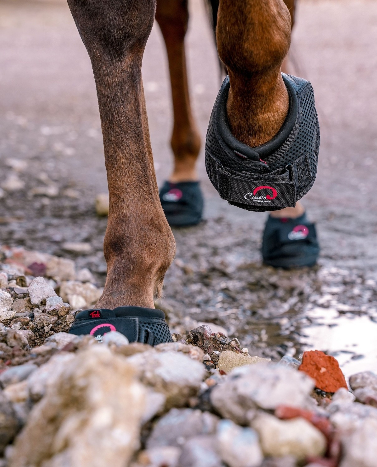 F.R.A. Cavallo Hufschuh TREK SRS