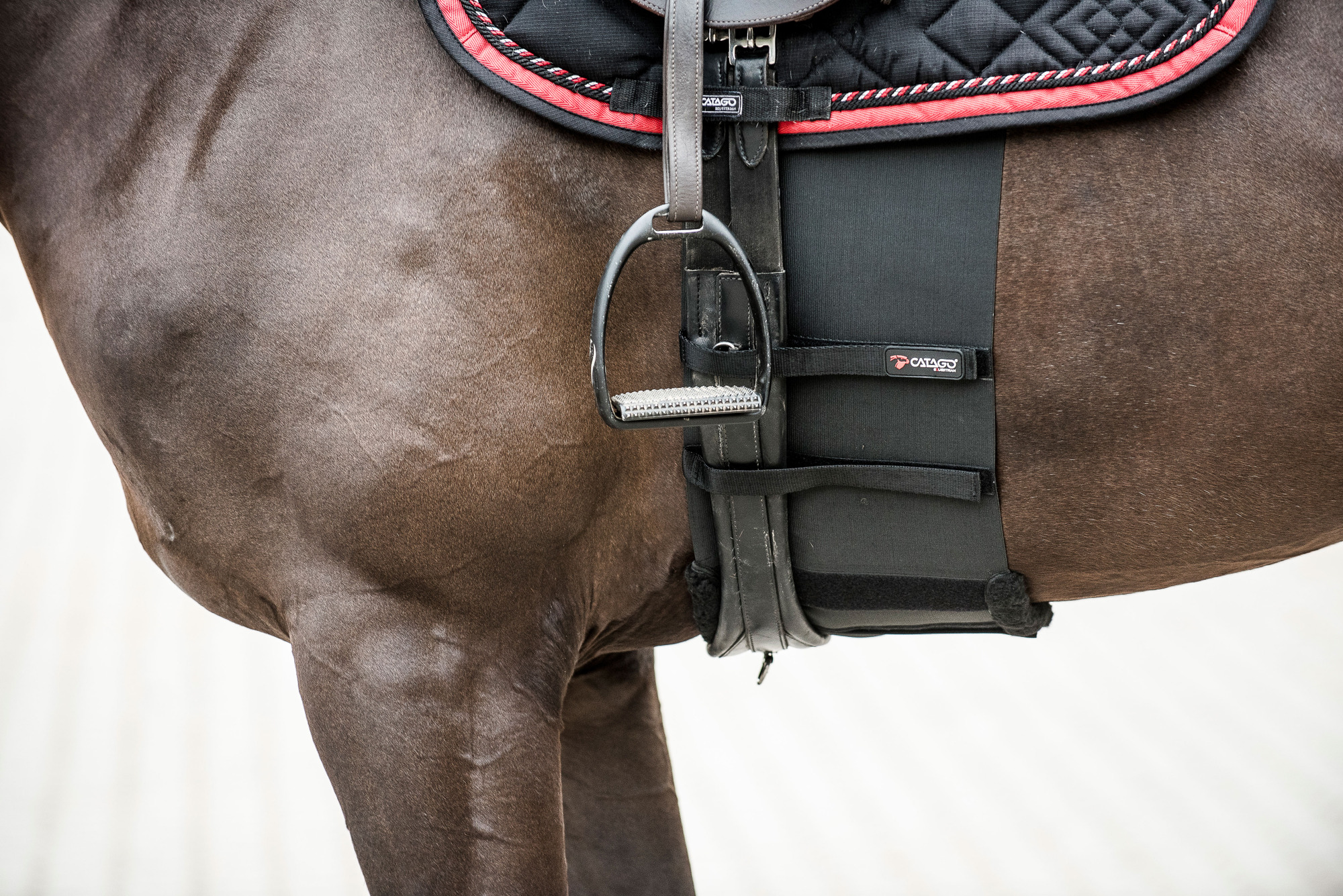 Catago body shield black