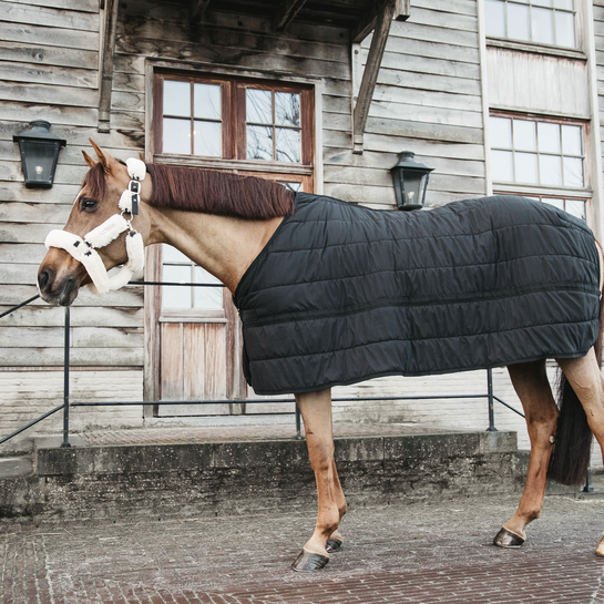 Kentucky Under Rug Skin Friendly 150g Black