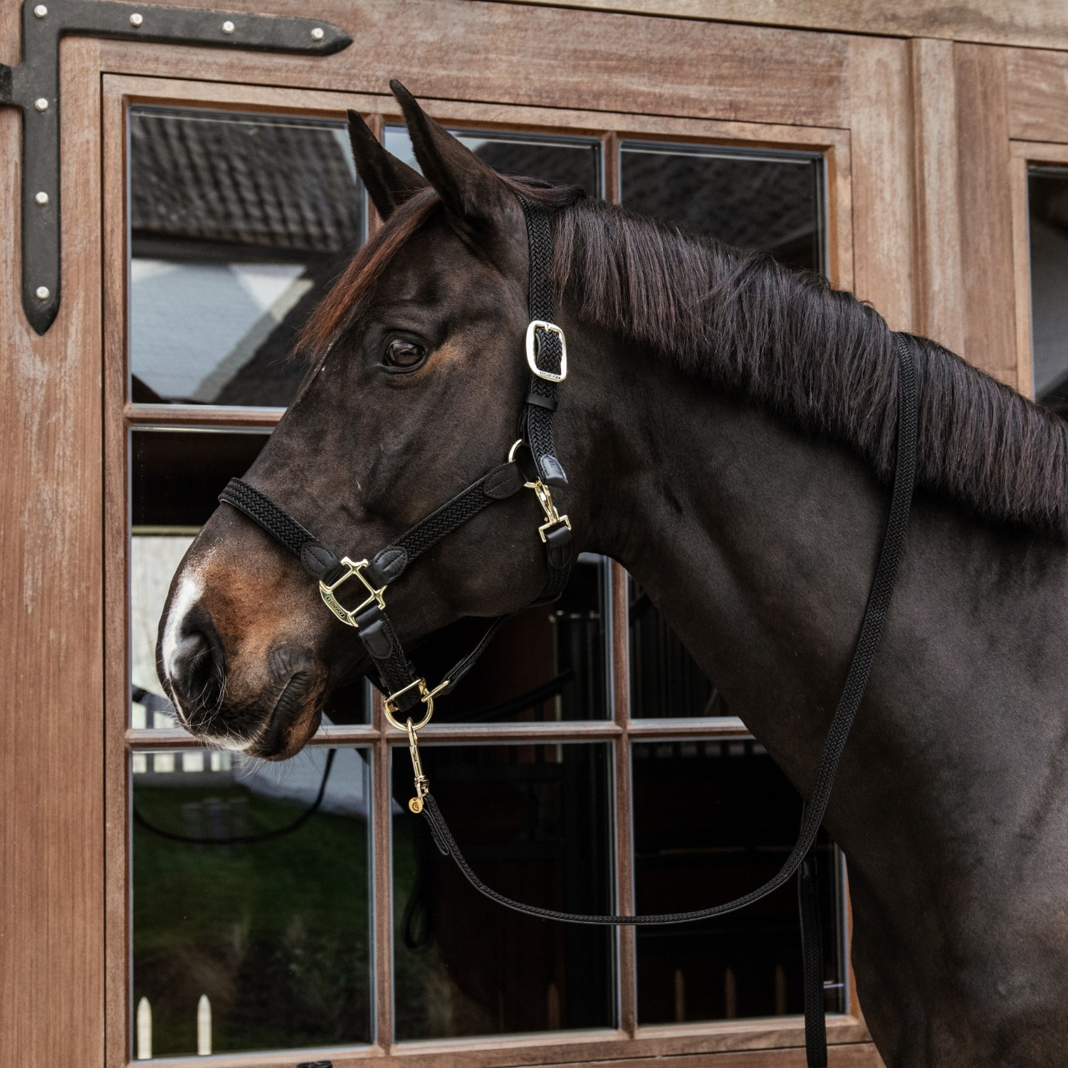 Kentucky Braided Nylon Halter