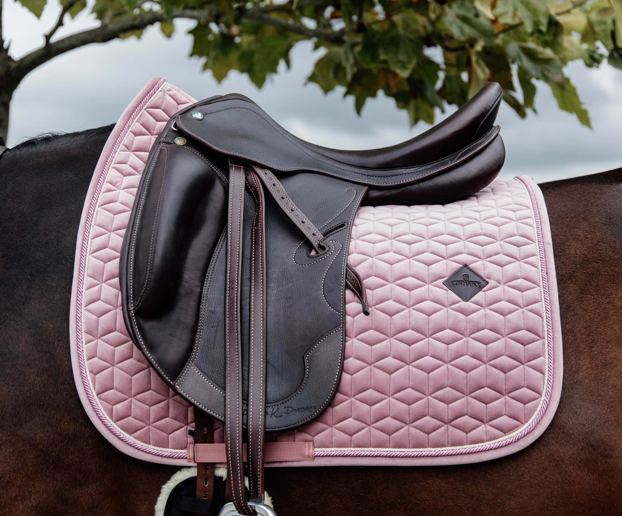 Kentucky Samt Dressurschabracke
