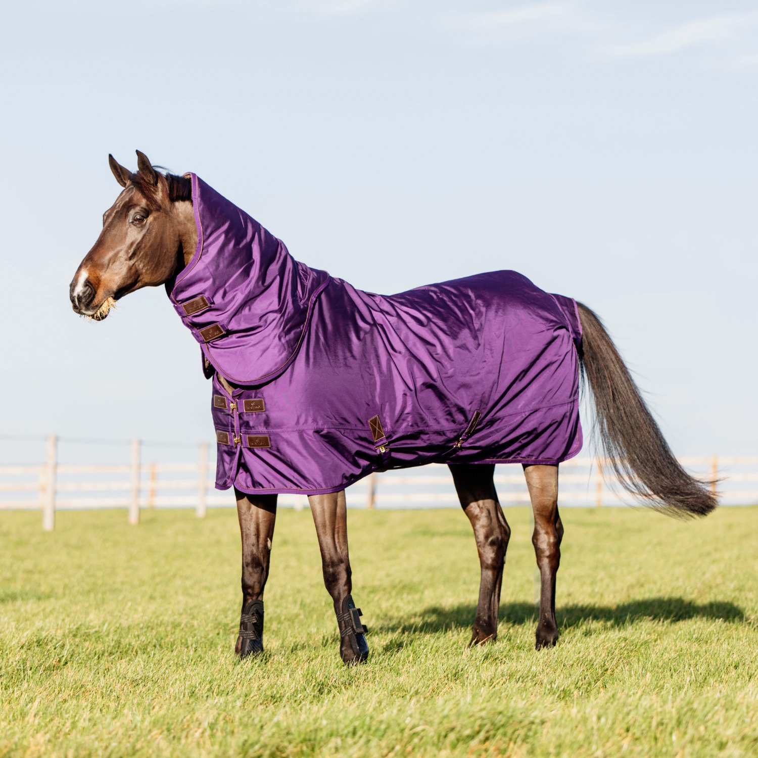 Kentucky Winterdecke Allwetter wasserdicht Pro 160 g Royal Purple