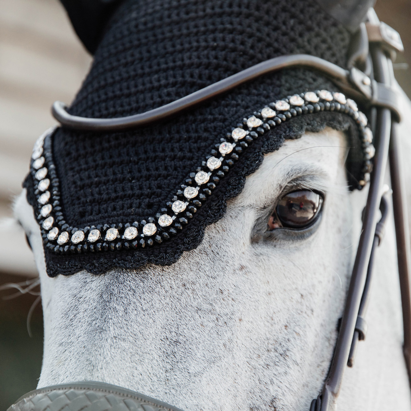Kentucky Fliegenhaube Wellington Big Stone & Pearl Geräuschdämpfend