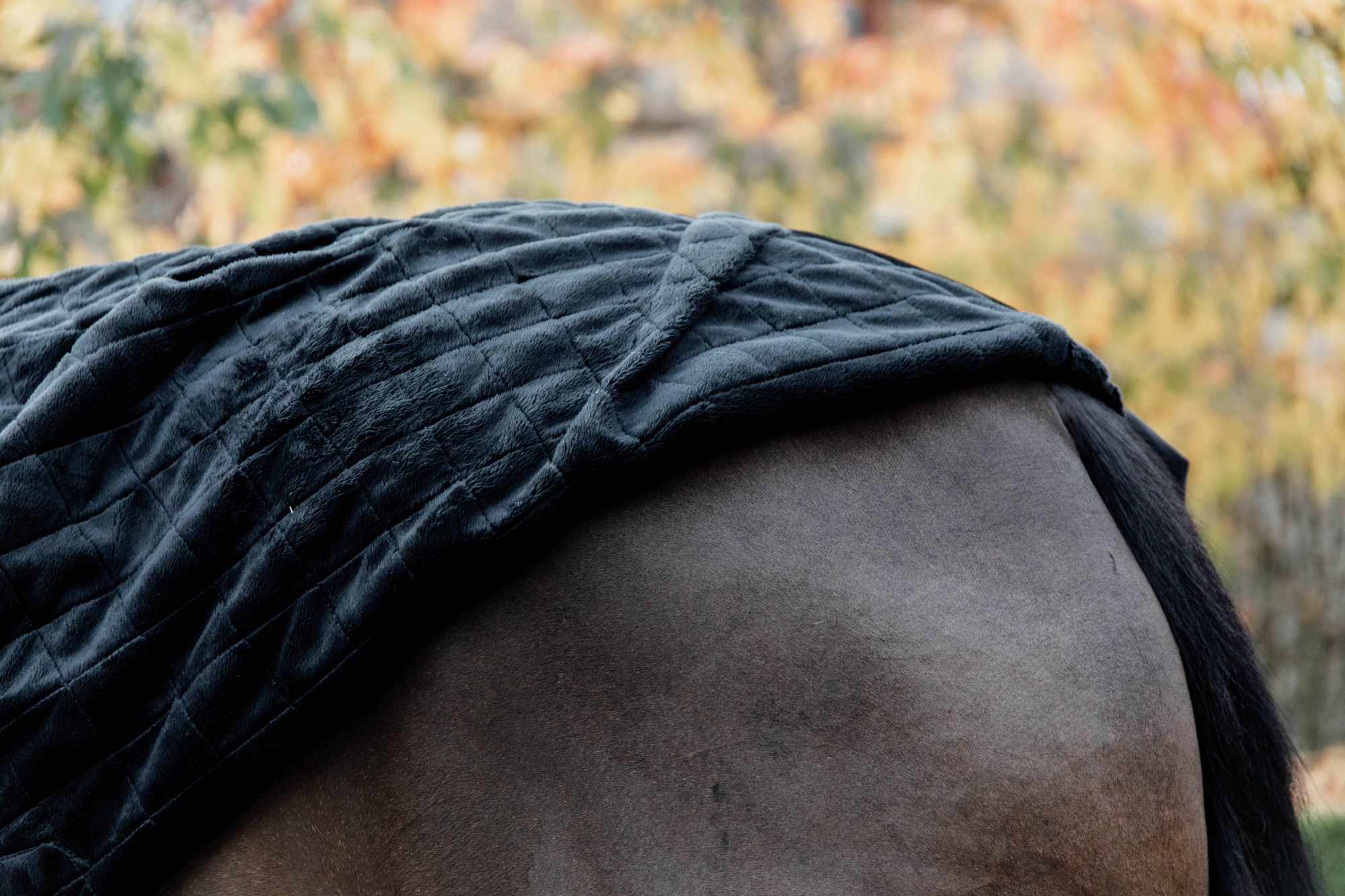Kentucky Stable Rug 0g Black/Black