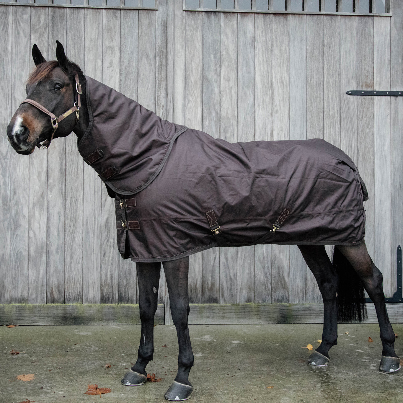 Kentucky Winterdecke All Weather Wasserdicht Pro 160gr Braun
