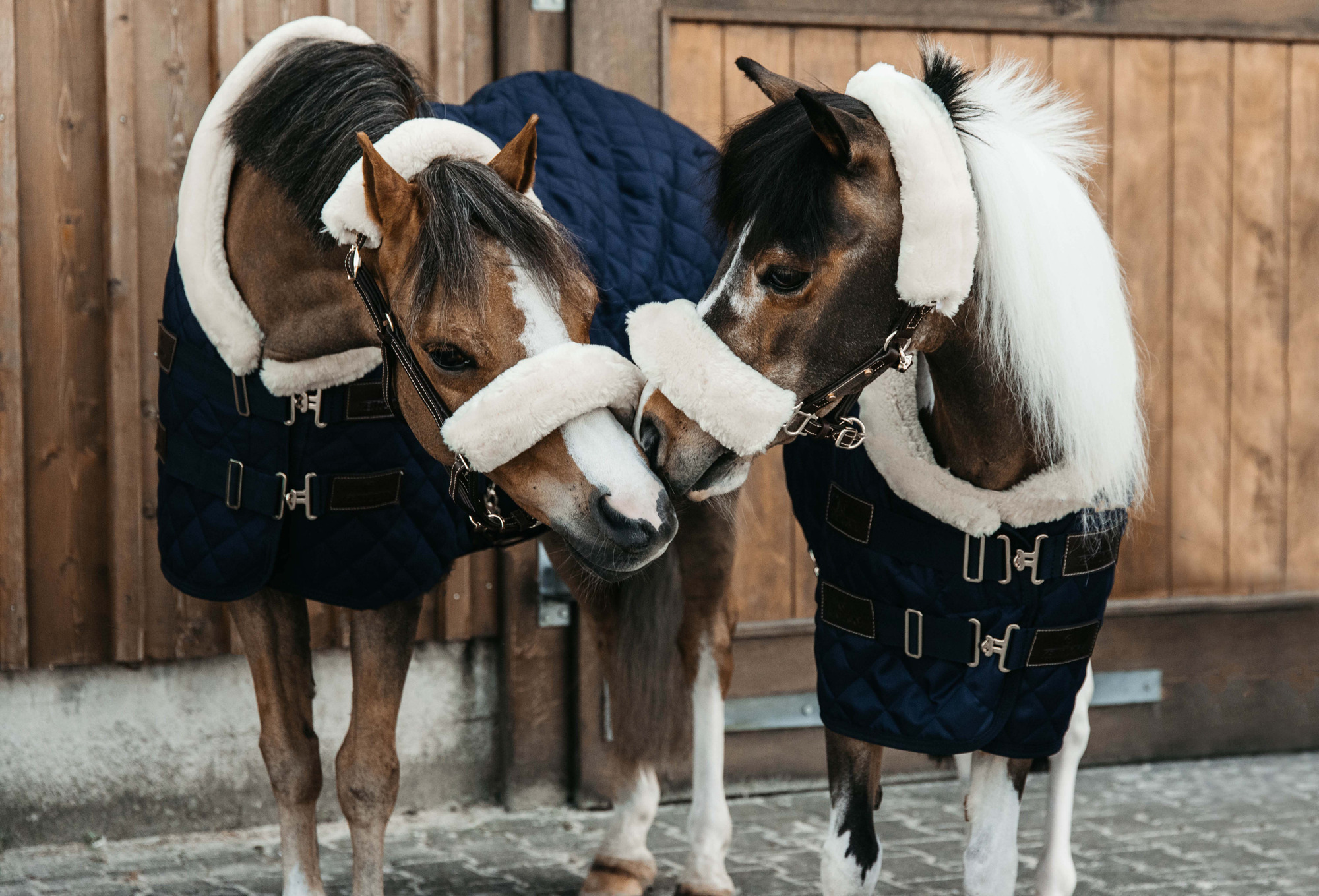 Kentucky Show Rug Mini 160g