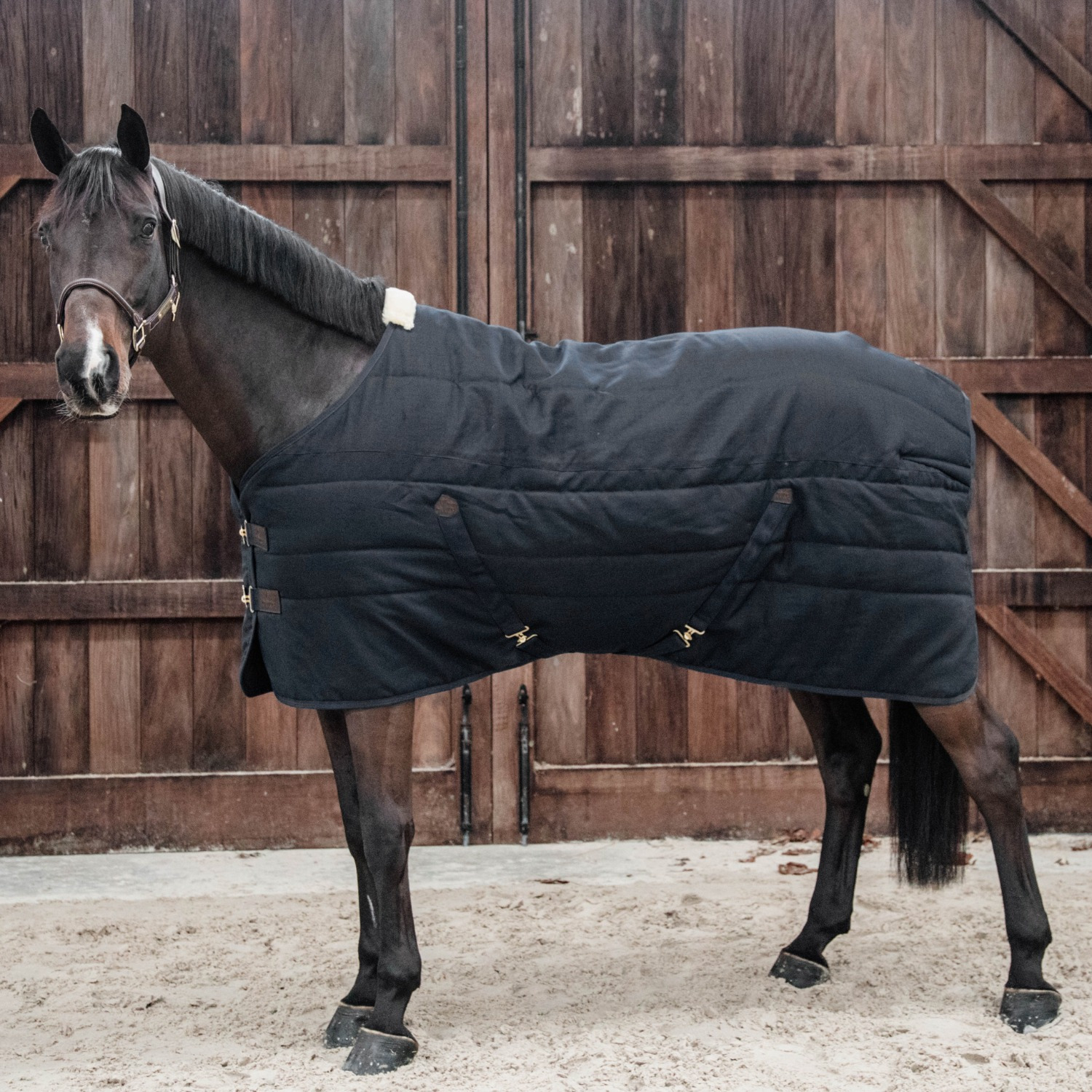 Kentucky Stalldecke Classic 300 g