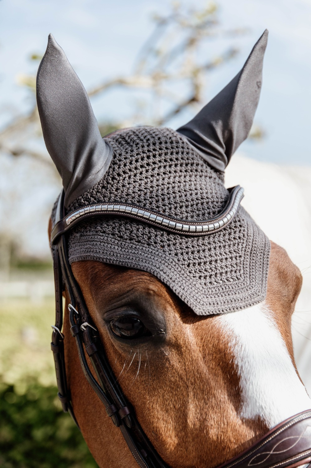 Kentucky Fly Veil Wellington