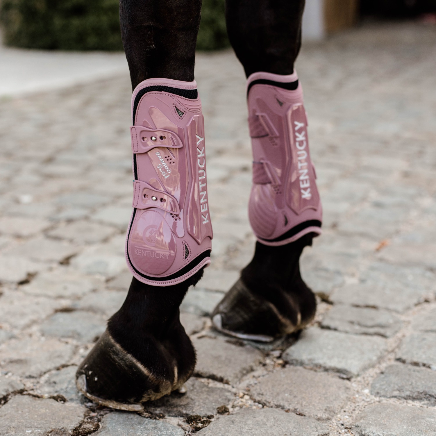 Kentucky Tendon Boots Bamboo Elastic