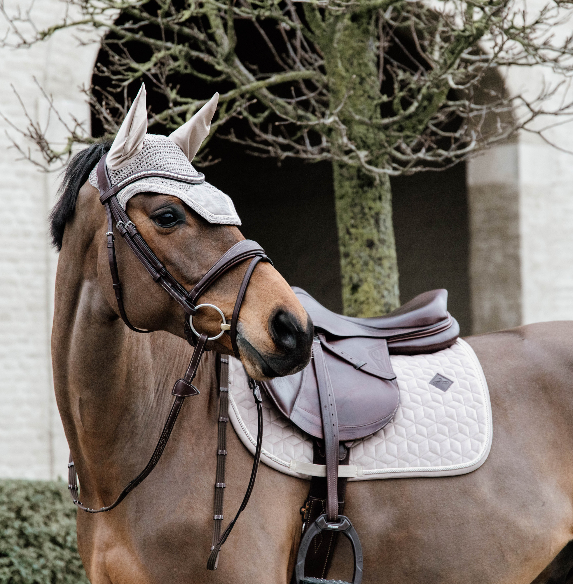 Kentucky Basic Velvet Jumping Saddle Pad