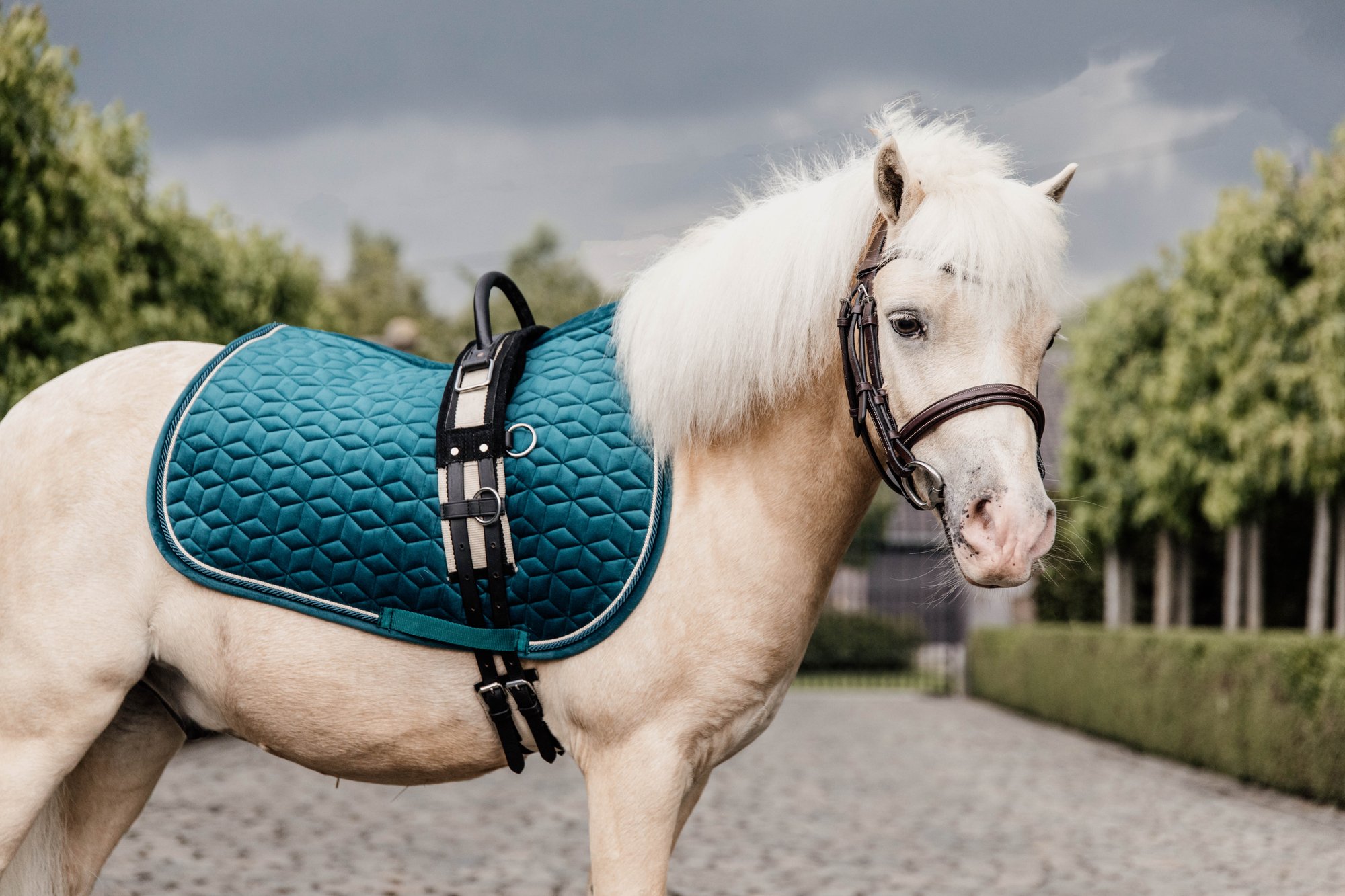 Kentucky Velvet Pony Saddle Pad