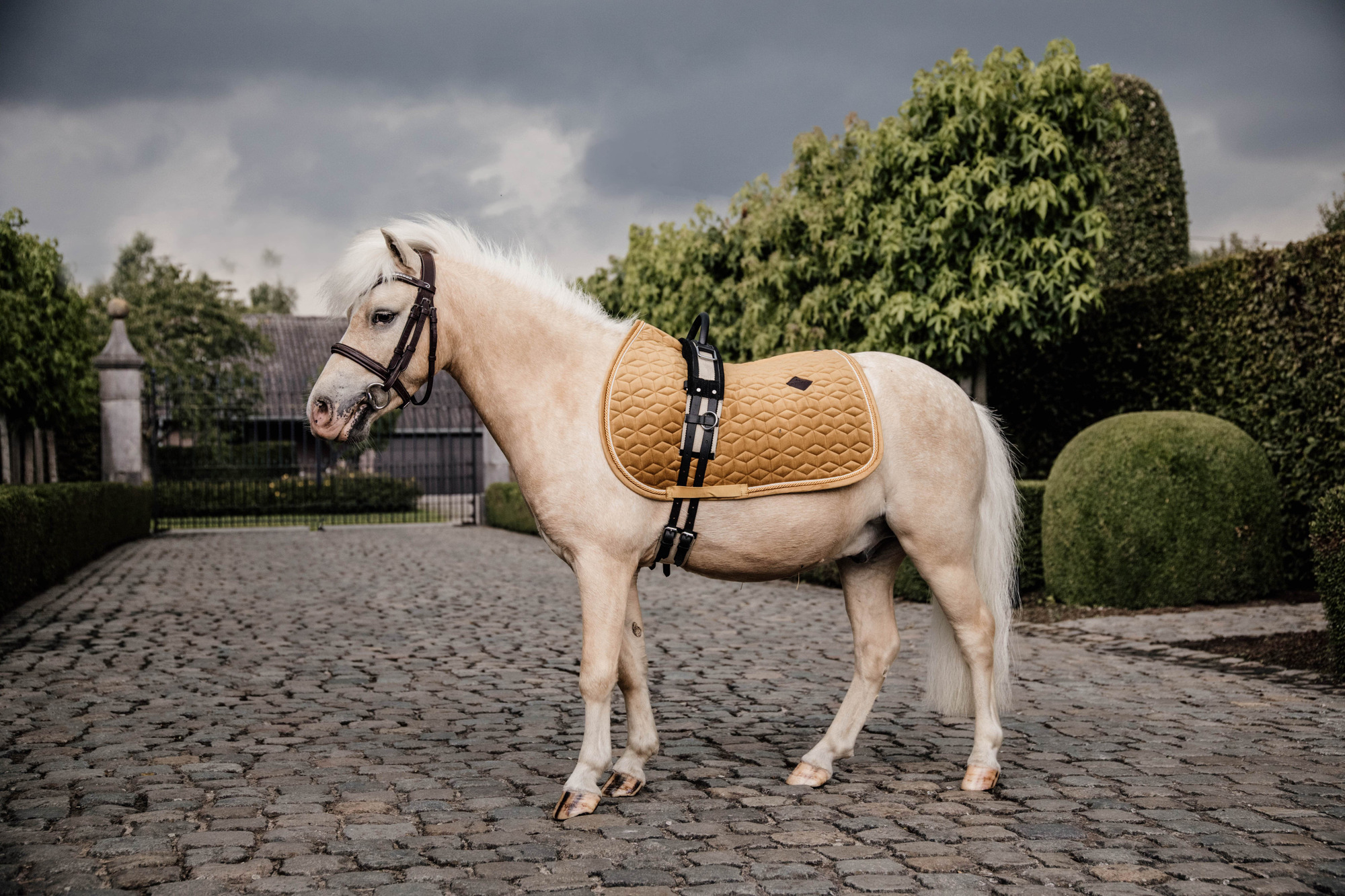 Kentucky Velvet Pony Saddle Pad