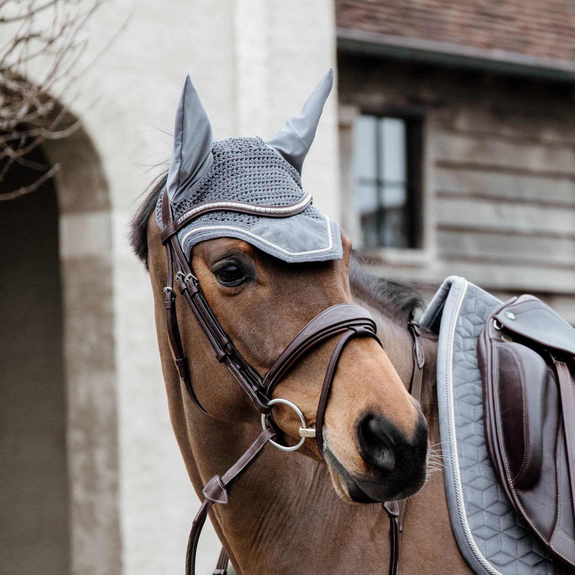 Kentucky Ear Bonnet Wellington Basic Velvet